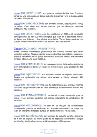 [Índice]FILO PRIAPÚLIDOS: son gusanos marinos de vida libre. El cuerpo 
consta de una probóscide, un tronco cubierto de espinas y uno o dos apéndices 
caudales; 15 especies. 
[Índice]FILO ENDOPROCTOS: son animales sésiles, pedunculados y muy 
pequeños. Casi todos son formas marinas que se alimentan mediante 
tentáculos; 150 especies. 
[Índice]FILO LORICÍFEROS: este filo, establecido en 1983, está constituido 
por organismos de sólo 0,5 mm de longitud que viven en el sedimento marino. 
las larvas son flotantes y los adultos sedentarios. Tienen bocas cónicas que 
pueden retraerse hacia una cabeza de espinas, a su vez retráctil. 
[Índice]CELOMADOS: PRETOSTAMOS 
Incluye aquellos eumetazoos protóstomos con simetría bilateral que tienen 
verdadero celoma. Algunos autores reúnen a los filos sipuncúlidos, equiúridos, 
anélidos y moluscos en un grupo denominado trocozoos debido a la presencia 
en todos ellos de una larva trocófora. 
[Índice]FILO SIPUNCÚLIDOS: son gusanos marinos de tamaño medio (unos 
3 cm de longitud) que tienen un cuerpo en forma de saco y una probóscide; 330 
especies. 
[Índice]FILO EQUIÚRIDOS: son animales marinos de aspecto vermiforme. 
Tienen una probóscide que utilizan para excavar y obtener alimento; 140 
especies. 
[Índice]FILO POGONÓFOROS: este filo está formado por animales marinos 
con forma de gusano que viven en tubos enterrados en el sedimento marino; 145 
especies. 
[Índice]FILO PENTASTÓMIDOS: reciben el nombre común de gusanos 
lengua y son animales parásitos del aparato respiratorio de vertebrados; 90 
especies. 
[Índice]FILO ONICÓFOROS: en este filo se incluyen los denominados 
comúnmente gusanos de terciopelo; son animales con aspecto de oruga que 
viven en ambientes terrestres aunque en zonas húmedas; 70 especies. 
[Índice]FILO TARDÍGRADOS: son animales de pequeño tamaño, de menos 
de 1 mm de longitud. La mayor parte de las especies son terrestres aunque 
también hay tardígrados marinos y dulceacuícolas; 400 especies. 
11 
 