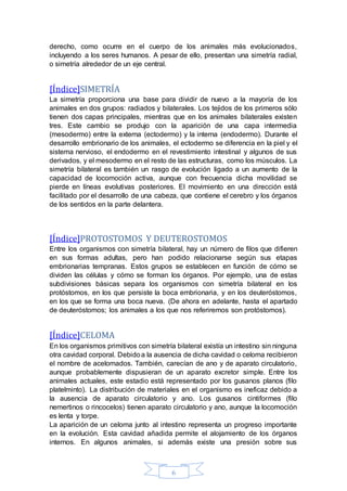 derecho, como ocurre en el cuerpo de los animales más evolucionados, 
incluyendo a los seres humanos. A pesar de ello, presentan una simetría radial, 
o simetría alrededor de un eje central. 
[Índice]SIMETRÍA 
La simetría proporciona una base para dividir de nuevo a la mayoría de los 
animales en dos grupos: radiados y bilaterales. Los tejidos de los primeros sólo 
tienen dos capas principales, mientras que en los animales bilaterales existen 
tres. Este cambio se produjo con la aparición de una capa intermedia 
(mesodermo) entre la externa (ectodermo) y la interna (endodermo). Durante el 
desarrollo embrionario de los animales, el ectodermo se diferencia en la piel y el 
sistema nervioso, el endodermo en el revestimiento intestinal y algunos de sus 
derivados, y el mesodermo en el resto de las estructuras, como los músculos. La 
simetría bilateral es también un rasgo de evolución ligado a un aumento de la 
capacidad de locomoción activa, aunque con frecuencia dicha movilidad se 
pierde en líneas evolutivas posteriores. El movimiento en una dirección está 
facilitado por el desarrollo de una cabeza, que contiene el cerebro y los órganos 
de los sentidos en la parte delantera. 
[Índice]PROTOSTOMOS Y DEUTEROSTOMOS 
Entre los organismos con simetría bilateral, hay un número de filos que difieren 
en sus formas adultas, pero han podido relacionarse según sus etapas 
embrionarias tempranas. Estos grupos se establecen en función de cómo se 
dividen las células y cómo se forman los órganos. Por ejemplo, una de estas 
subdivisiones básicas separa los organismos con simetría bilateral en los 
protóstomos, en los que persiste la boca embrionaria, y en los deuteróstomos, 
en los que se forma una boca nueva. (De ahora en adelante, hasta el apartado 
de deuteróstomos; los animales a los que nos referiremos son protóstomos). 
[Índice]CELOMA 
En los organismos primitivos con simetría bilateral existía un intestino sin ninguna 
otra cavidad corporal. Debido a la ausencia de dicha cavidad o celoma recibieron 
el nombre de acelomados. También, carecían de ano y de aparato circulatorio, 
aunque probablemente dispusieran de un aparato excretor simple. Entre los 
animales actuales, este estadio está representado por los gusanos planos (filo 
platelminto). La distribución de materiales en el organismo es ineficaz debido a 
la ausencia de aparato circulatorio y ano. Los gusanos cintiformes (filo 
nemertinos o rincocelos) tienen aparato circulatorio y ano, aunque la locomoción 
es lenta y torpe. 
La aparición de un celoma junto al intestino representa un progreso importante 
en la evolución. Esta cavidad añadida permite el alojamiento de los órganos 
internos. En algunos animales, si además existe una presión sobre sus 
6 
 