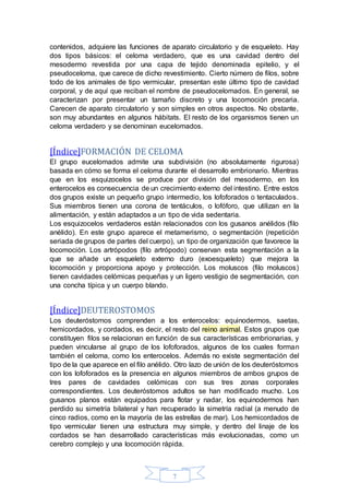contenidos, adquiere las funciones de aparato circulatorio y de esqueleto. Hay 
dos tipos básicos: el celoma verdadero, que es una cavidad dentro del 
mesodermo revestida por una capa de tejido denominada epitelio, y el 
pseudoceloma, que carece de dicho revestimiento. Cierto número de filos, sobre 
todo de los animales de tipo vermicular, presentan este último tipo de cavidad 
corporal, y de aquí que reciban el nombre de pseudocelomados. En general, se 
caracterizan por presentar un tamaño discreto y una locomoción precaria. 
Carecen de aparato circulatorio y son simples en otros aspectos. No obstante, 
son muy abundantes en algunos hábitats. El resto de los organismos tienen un 
celoma verdadero y se denominan eucelomados. 
[Índice]FORMACIÓN DE CELOMA 
El grupo eucelomados admite una subdivisión (no absolutamente rigurosa) 
basada en cómo se forma el celoma durante el desarrollo embrionario. Mientras 
que en los esquizocelos se produce por división del mesodermo, en los 
enterocelos es consecuencia de un crecimiento externo del intestino. Entre estos 
dos grupos existe un pequeño grupo intermedio, los lofoforados o tentaculados. 
Sus miembros tienen una corona de tentáculos, o lofóforo, que utilizan en la 
alimentación, y están adaptados a un tipo de vida sedentaria. 
Los esquizocelos verdaderos están relacionados con los gusanos anélidos (filo 
anélido). En este grupo aparece el metamerismo, o segmentación (repetición 
seriada de grupos de partes del cuerpo), un tipo de organización que favorece la 
locomoción. Los artrópodos (filo artrópodo) conservan esta segmentación a la 
que se añade un esqueleto externo duro (exoesqueleto) que mejora la 
locomoción y proporciona apoyo y protección. Los moluscos (filo moluscos) 
tienen cavidades celómicas pequeñas y un ligero vestigio de segmentación, con 
una concha típica y un cuerpo blando. 
[Índice]DEUTEROSTOMOS 
Los deuteróstomos comprenden a los enterocelos: equinodermos, saetas, 
hemicordados, y cordados, es decir, el resto del reino animal. Estos grupos que 
constituyen filos se relacionan en función de sus características embrionarias, y 
pueden vincularse al grupo de los lofoforados, algunos de los cuales forman 
también el celoma, como los enterocelos. Además no existe segmentación del 
tipo de la que aparece en el filo anélido. Otro lazo de unión de los deuteróstomos 
con los lofoforados es la presencia en algunos miembros de ambos grupos de 
tres pares de cavidades celómicas con sus tres zonas corporales 
correspondientes. Los deuteróstomos adultos se han modificado mucho. Los 
gusanos planos están equipados para flotar y nadar, los equinodermos han 
perdido su simetría bilateral y han recuperado la simetría radial (a menudo de 
cinco radios, como en la mayoría de las estrellas de mar). Los hemicordados de 
tipo vermicular tienen una estructura muy simple, y dentro del linaje de los 
cordados se han desarrollado características más evolucionadas, como un 
cerebro complejo y una locomoción rápida. 
7 
 
