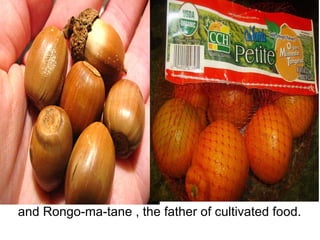   and Rongo-ma-tane , the father of cultivated food. 