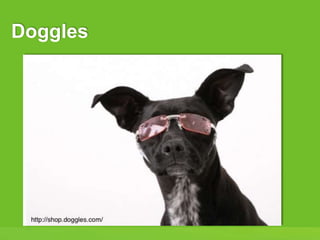 4
Doggles
 