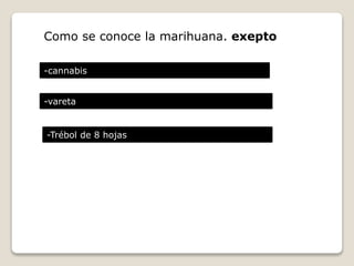 Como se conoce la marihuana. exepto 
-cannabis 
-vareta 
-Trébol de 8 hojas 
 