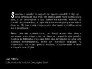 Izan Petterle Colaborador da National Geographic Brasil intetizar o trabalho do salgado em apenas uma foto é algo um    tanto complicado para mim, até porque gosto muito da fase atual dele, a de documentar o que sobrou da natureza intocada do planeta. Inspira-me isso, a capacidade de reinvenção que um artista deve ter. Ele teve muita coragem para abandonar a temática social que o consagrou.  Penso que ele aparece como um Ansel Adams dos tempos modernos, suas imagens tem a classe e a maestria dos grandes mestres da fotografia, mas suas fotos são carregadas de uma forte ideologia contemporânea, como um manifesto engajado na preservação da nossa própria espécie, provavelmente a mais ameaçada de extinção. S 