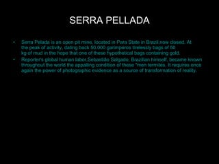 SERRA PELLADA Serra Pelada is an open pit mine, located in Para State in Brazil,now closed. At the peak of activity, dating back 50.000 garimperos tirelessly bags of 50 kg of mud in the hope that one of these hypothetical bags containing gold.  Reporter's global human labor,Sebastião Salgado, Brazilian himself, became known throughout the world the appalling condition of these "men termites. It requires once again the power of photographic evidence as a source of transformation of reality.   