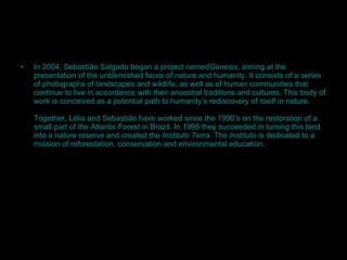 In 2004, Sebastião Salgado began a project named Genesis , aiming at the presentation of the unblemished faces of nature and humanity. It consists of a series of photographs of landscapes and wildlife, as well as of human communities that continue to live in accordance with their ancestral traditions and cultures. This body of work is conceived as a potential path to humanity’s rediscovery of itself in nature.  Together, Lélia and Sebastião have worked since the 1990’s on the restoration of a small part of the Atlantic Forest in Brazil. In 1998 they succeeded in turning this land into a nature reserve and created the  Instituto Terra . The  Instituto  is dedicated to a mission of reforestation, conservation and environmental education.  