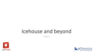 Icehouse  and  beyond
  
Future
  

 