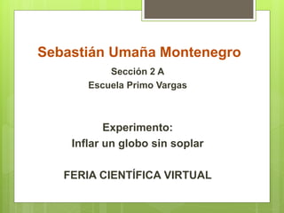 Sebastián Umaña Montenegro
Sección 2 A
Escuela Primo Vargas
Experimento:
Inflar un globo sin soplar
FERIA CIENTÍFICA VIRTUAL
 