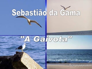 Sebastião da Gama &quot;A Gaivota&quot; Avanço automático 