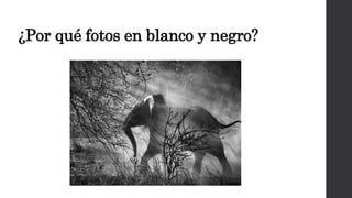 ¿Por qué fotos en blanco y negro?
 