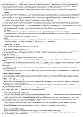 некоторое время в теплое место (Травы, ягоды и т. п., служащие для экстрактов, можно настаивать и на вине. Но вино не годится
для «хранения экстрактов в течение более или менее продолжительного времени.). Я выдерживал наполненные таким образом
бутылки по году и больше и только тогда сливал экстракт, полученный из спирта, смешавшегося с соком целебного средства. В
случае же необходимости можно пользоваться настойкой уже через несколько дней настаивания.
Тинктуры (настойки) принимаются по каплям; в некоторых случаях (всякий раз это ясно указывается) берут чайную или
столовую ложку.
Настои
В сухую погоду, когда возвращаетесь с поля или идете туда осмотреть посевы, собирайте по сторонам дороги целебные травы.
Растущие на сухой почве, по солнечным склонам гор заслуживают предпочтения; растения, собранные в лучшую пору цветения,
окажут наибольшую пользу. Многие травы растут в саду, огороде, возле дома или сарая. Покажите своему 10-летнему сыну или
дочери, как собирать их; и, сберегая свое время, вы вместе с тем доставите большую радость детям.
Садовые и полевые травы следует ежегодно собирать вновь, а старые выбрасывать.
Каждая хозяйка должна уметь приготовить какой угодно настой. Для этого она берет на чашку настоя щепотку высушенных
трав (листьев или цветов), обливает их кипятком и дает несколько минут постоять; затем сливает готовый настой, обладающий
весьма приятным вкусом и ароматом, но это еще слабый настой. Чтобы получить самый крепкий, я кипячу травы продолжительное
время, так что они вывариваются вполне и вся целебная сила их переходит в воду.
Как принимать настои (стаканами или ложками) указано в 3-й части при описании отдельных болезней..
Порошки
Для получения порошков сухие коренья, листья, зерна или ягоды растений растираются или толкутся в ступке.
Некоторым больным удобнее давать порошки, нежели настои. Прописанный порошок незаметно для больного примешивают к
нище или к питью.
Сосуды с порошками тщательно закрываются от пыли.
Масла
Приготовление масел, не имеющихся в продаже, указано отдельно при описании болезней, при которых они применяются.
По чистоте бутылочек с маслом особенно узнается любовь к порядку и к опрятности.
ЦЕЛЕБНЫЕ СРЕДСТВА
Здесь указаны следующие употребляемые мною средства.
Агава американская (Aqava americana L.)
Родина этого растения — Южная Америка. Оттуда оно перевезено к нам; его нередко можно встретить «а окнах у любителей
среди других цветов. Агава узнается по своим толстым, сочным и довольно длинным листьям светло-зеленого цвета со
множеством колючек.
Действия ее следующие:
Кипяченый настой листа агавы в воде очищает желудок и кишки.
Порошок, принимаемый 2 раза в день (в количестве, какое помещается на кончике ножа), помогает при болезнях печени и
желтухе.
Кипяченый настой листа агавы в полуштофе воды (1 штоф=1,23 л. (Примеч. ред.)), с прибавкой десертной ложки меду, унимает
внутренний жар в глазах, если их хорошенько промывать этим настоем. Он представляет собой также отличное средство против
ран и чирьев.
Агава, вскипяченная вместе с полынью, изгоняет водянистые дурные соки, от которых легко может образоваться водянка, и
улучшает пищеварение.
Сказанного достаточно, чтобы посоветовать каждому любителю цветов держать между прочими растениями и горшок агавы.
Анис (Pimpinella anisum L.);
Анис, как и укроп,, и даже гораздо сильнее, чем последний, действует при скоплении газов. Обыкновенно оба эти средства
употребляются вместе. Анисовое и укропное масло можно всегда достать в аптеке. Достаточно на прием 4—7 капель на кусочке
сахара 1- 2 раза в день.
Арника горная! (Arnica montana L.)
Арника повсюду пользуется славой превосходного целебного средства, и я решительно не понимаю, почему это ©сваривают
многие,, которым это должно быть известно.
Тинктура арники, употребляемая при ранах для обмывания, примочек, компрессов, так общеизвестна, что о ней нечего
собственно и распространяться.
Ее можно дешево купить, легко приготовить и самому. Цвет арники собирается в конце июня и начале июля и настаивается на
водке или на спирту. Через 3-4 дня тинктура уже годна к употреблению.
Бузина карликовая (Sambucus ebulus L.)
На опушке лесов, особенно вырубленных, встречаются кусты высотою около 1 1/2 аршин, на которых в июле появляются пучки
белых цветов, а осенью кисти великолепных блестящих ягод. Это — бузина.
Настой корня этого растения прекрасно извлекает воду при водянке и очищает почки. Мне известно несколько случаев, когда
этот настой совершенно излечил водянку, уже порядочно развившуюся. Он отлично действует и при других болезнях живота,
происходящих от испорченных соков, удаляя их вместе с мочой.
Настой бузинового порошка оказывает то же действие. На чашку для двух приемов в продолжение дня достаточно двух
щепоток порошка.
Корни собирают в конце осени, высушивают их на воздухе и сохраняют в таком виде или в виде порошка.
Бузина черная (Sambucus nigra)
(Не следует смешивать с бузиной кистеносной (Sambucus vacemosa) у которой ягоды красные)
В доброе старое время вблизи каждого жилья росла бузина, теперь же ее почти не видать. А между тем все в ней приносит
пользу: листья, цветы, ягоды, кора и корни.
 