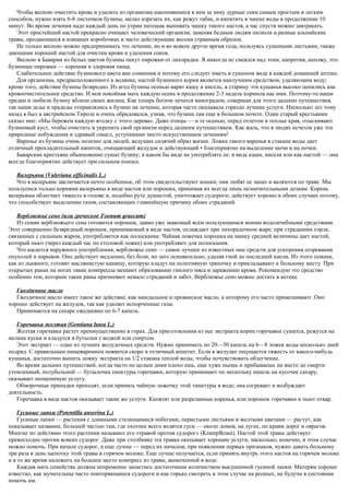 Чтобы весною очистить кровь и удалить из организма накопившиеся в нем за зиму дурные соки самым простым и легким
способом, нужно взять 6-8 листочков бузины, мелко изрезать их, как режут табак, и кипятить в чашке воды в продолжение 10
минут. Во время лечения надо каждый день по утрам натощак выпивать чашку такого настоя, а час спустя можно завтракать.
Этот простейший настой прекрасно очищает человеческий организм, заменяя бедным людям пилюли и разные альпийские
травы, продающиеся в изящных коробочках и часто действующие весьма странным образом.
Не только весною можно предпринимать это лечение, но и во всякое другое время года, пользуясь сушеными листьями, также
дающими хороший настой для очистки крови и удаления соков.
Весною в Баварии из белых цветов бузины пекут пирожки от лихорадки. Я никогда не смеялся над этим, напротив, нахожу, что
бузинные пирожки — хорошая и здоровая пища.
Слабительное действие бузинового цвета вне сомнения и потому его следует иметь в сушеном виде в каждой домашней аптеке.
Для организма, предрасположенного к водянке, настой бузинного корня является наилучшим средством, удаляющим воду;
кроме того, действие бузины безвредно. Из ягод бузины осенью варят кашу и киcель; в старину эти кушанья высоко ценились как
кровоочистительное средство. И моя покойная мать каждую осень в продолжение 2-3 недель кормила нас ими. Поэтому-то наши
предки и любили бузину вблизи своих жилищ. Как теперь богачи лечатся виноградом, совершая для этого далекие путешествия,
так наши деды и прадеды отправлялись к бузине на лечение, которая часто оказывала гораздо лучшие услуги. Несколько лет тому
назад я был в австрийском Тироле и очень обрадовался, узнав, что бузина там еще в большом почете. Один старый крестьянин
сказал мне: «Мы бережем каждую ягодку с этого дерева». Даже птицы — и те осенью, перед отлетом в теплые края, отыскивают
бузиновый куст, чтобы очистить и укрепить свой организм перед далеким путешествием. Как жаль, что в людях исчезли уже эти
природные побуждения и здравый смысл, уступившие место искусственным лечениям!
Варенье из бузины очень полезно для людей, ведущих сидячий образ жизни. Ложка такого варенья в стакане воды дает
отличный прохладительный напиток, очищающий желудок и действующий • благоприятно на выделение мочи и на почки.
Баварские крестьяне обыкновенно сушат бузину; в каком бы виде не употреблять ее: в виде каши, киселя или как настой — она
всегда благоприятно действует при сильном поносе.
Валерьяна (Valeriana officinalis L.)
Что в валерьяне заключается нечто особенное, об этом свидетельствуют кошки; они любят ее запах и валяются по траве. Мы
пользуемся только корнями валерьяны в виде настоя или порошка, принимая их всегда лишь незначительными дозами. Корень
валерьяны облегчает тяжесть в голове и, подобно руте душистой, уничтожает судороги; действует хорошо в обоих случаях потому,
что способствует выделению газов, составляющих главнейшую причину обоих страданий.
Верблюжье сено (или греческое Foenum qraecum)
Из семян верблюжьего сена готовится порошок, давно уже знакомый всем пользующимся моими водолечебными средствами.
Этот совершенно безвредный порошок, принимаемый в виде настоя, охлаждает при лихорадочном жаре; при страданиях горла,
связанных с сильным жаром, употребляется как полоскание. Чайная ложечка порошка на чашку средней величины дает настой,
который пьют (через каждый час по столовой ложке) или употребляют для полоскания.
Что касается наружного употребления, верблюжье сено — самое лучшее из известных мне средств для ускорения созревания
опухолей и нарывов. Оно действует медленно, без боли, но зато основательно, удаляя гной до последней капли. Из этого семени,
как из льняного, готовят маслянистую кашицу, которую кладут на полотняную тряпочку и прикладывают к больному месту. При
открытых ранах на ногах такие компрессы мешают образованию гнилого мяса и заражению крови. Рекомендую это средство
особенно тем, которым такие раны причиняют немало страданий и забот. Верблюжье сено можно достать в аптеке.
Гвоздичное масло
Гвоздичное масло имеет такое же действие, как миндальное и прованское масло, к которому его часто примешивают. Оно
хорошо действует на желудок, так как удаляет испорченные газы.
Принимается на сахаре ежедневно по 6-7 капель.
Горечавка желтая (Gentiana lutea L.)
Желтая горечавка растет преимущественно в горах. Для приготовления из нее экстракта корни горечавки сушатся, режутся на
мелкие куски и кладутся в бутылки с водкой или спиртом.
Этот экстракт — одно из лучших желудочных средств. Нужно принимать по 20—30 капель на 6—8 ложек воды несколько дней
подряд. С правильным пищеварением появится скоро и отличный аппетит. Если в желудке ощущается тяжесть от какого-нибудь
кушанья, достаточно выпить ложку экстракта на 1/2 стакана теплой воды, чтобы почувствовать облегчение.
Во время дальних путешествий, когда часто по целым дням плохо ешь, еще хуже пьешь и прибываешь на место до смерти
утомленный, полубольной — бутылочка тинктуры горечавки, которую принимают по нескольку капель на кусочек сахару,
оказывает неоценимую услугу.
Обморочные припадки проходят, если принять чайную ложечку этой тинктуры в воде; она согревает и возбуждает
деятельность.
Горечавка в виде настоя оказывает такие же услуги. Кипятят или разрезанные коренья, или порошок горечавки и пьют отвар.
Гусиные лапки (Potentilla anserina L.)
Гусиные лапки — растения с длинными стелющимися побегами, перистыми листьями и желтыми цветами — растут, как
показывает название, большей частью там, где охотнее всего водятся гуси — около домов, на лугах, по краям дорог и оврагов.
Многие по действию этого растения называют его «травой против судорог» (Krampfkraut). Настой этой травы действует
превосходно против всяких судорог. Даже при столбняке эта травка оказывает хорошие услуги, насколько, конечно, в этом случае
можно помочь. При начале судорог, а еще лучше — перед их началом, при появлении первых признаков, нужно давать больному
три раза в день щепотку этой травы в горячем молоке. Еще лучше получается, если принять внутрь этого настоя на горячем молоке
и в то же время наложить на больное место компресс из травы, вымоченной в воде.
Каждая мать семейства должна непременно запастись достаточным количеством высушенной гусиной лапки. Матерям хорошо
известно, как мучительны часто повторяющиеся судороги и как горько смотреть в этом случае на родных, не будучи в состоянии
помочь им.
 
