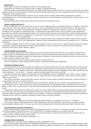 Дубовая кора
Иной скажет: «В качестве лекарства он советует нам и дубовую кору!»
Непременно так; советую ее и в свежем, прямо с дерева, и в высушенном виде.
Молодая дубовая кора, обваренная кипятком, дает крепительный настой. Нужно намочить в этом настое небольшое полотенце и
обвязать им горло; это превосходное и безопасное средство при начинающемся зобе и при ожирении шеи. Не менее действенно это
обертывание и при опухолях желез.
Против выпадения прямой кишки помогают частые сидячие ванны из отвара дубовой коры одновременно с легкими
промываниями из него же. Он также хорошо излечивает тяжелые и часто опасные фистулы прямой кишки и твердые опухоли, если
они не воспалены.
Настой дубовой коры, подобно смоле, действует крепительно на внутренние сосуды.
Дудник (Anqelica Sylvestris L.)
Растет на пойменных лугах и в сырых местах леса. Из полого стебля растения, достигающего высоты 1 1/2 аршина, мальчуганы
охотно мастерят себе дудки. Дудник следует отличать от дягиля (archanqelica), который в противоположность дикорастущему
дуднику нуждается в особом уходе. Оба растения одинаково целебны, но я предпочитаю первое, так как его легче добыть. Если
кто-нибудь съел нездоровую, испорченную пищу, то кипяченый настой корней, семян и листьев дудника служит прекрасным
средством для удаления из крови вредных веществ. Этот настой согревает желудок и уничтожает резь в животе, происходящую от
скопления газов; хорошо при этом прибавлять к настою вина. Скопление слизи в легких и груди, в бронхах, а также изжога легче
всего устраняются именно этим средством.
Вообще дудник — полезнейшее растение для дома, и я советую запасаться им на целый год. Корни, семена и листья, хорошо
высушенные на воздухе, могут быть превращены в порошок, вполне заменяющий настой (достаточно принимать по 2—3 щепотки
ежедневно).
Не советую собирать дудник тем, кто не знаком с растениями, так как его легко спутать с другими, иногда ядовитыми, травами.
(Например, с собачьей петрушкой, болиголовом, принадлежащими к тому же семейству зонтичных растений, которые все
довольно сходны между собою. (Примеч. перев.)).
Зверобой (Hipericum perforatum)
Настой зверобоя представляет действеннейшее средство против болезней печени. Действие его усиливается прибавлением
порошка сабура, что обнаруживается при выделении мочи, в которой замечаются нечистые вещества, зачастую в виде хлопьев.
Настой зверобоя излечивает головные боли, проходящие от прилива к голове водянистых веществ или газов, а также тяжесть в
желудке, одышку и слабый катар легких.
Этот настой также полезен для детей, которые мочатся по ночам в постели.
Во всех упомянутых случаях зверобой можно заменить тысячелистником (Achillea millefolium).
Земляника (Fraqaria vesca L.)
Сколько радости в детях, когда они приносят первый пучок земляники родителям, учителю, священнику! Какое удовольствие,
когда в первый раз подают к обеду освежающую землянику (с вином или без него)! Но приятны не одни плоды этого маленького
растеньица; и листья его собирает и сушит мать, озабоченная своими слабыми детками, возвращаясь после тяжелой работы домой:
листья земляники — она это знает — хорошее, здоровое и весьма дешевое питательное средство.
Для приготовления настоя щепотку земляничных листьев обваривают кипятком и накрывают сосуд. Через 15 минут сливают
жидкость и получается таким образом чистый настой из листьев земляники. Затем прибавляют к нему горячего молока, немного
сахару, и питье готово.
Если треть или четверть листьев земляники заменить пахучкой (Лесная травка из семейства мареновых. (Asperula odorata L.)),
то настой будет еще лучше по вкусу и качеству.
Невозможно оценить пользу, приносимую ягодами земляники для здоровья; их дают особенно выздоравливающим после
тяжелой болезни вместе с другою пищей. Кто летом долгое время будет пить ежедневно молоко с земляникой или же есть кусок
ржаного хлеба с ней, тот скоро заметит на себе ее благотворное действие, заключающееся в укреплении организма и очищении
крови.
Земляничным вареньем можно пользоваться и зимой для лечения. При сильном внутреннем жаре земляника оказывает даже
летом большие услуги больному, вызывая приятную прохладу у жаждущего. Страдающим каменной болезнью советую съедать
ежедневно равные порции земляники в течение долгого времени. То же самое рекомендуется страдающим печенью (ежедневно по
2 кружки настоя в несколько приемов) и прыщами на коже (утром и вечером по кружке).
Зерна смолы или ладана
Смола ели и сосны, собираемая летом в виде шариков, укрепляет грудь, если ежедневно глотать по 5—6 шариков.
Смолу можно заменить зернышками белого ладана. Принимая по 6-8 таких зернышек в продолжение некоторого времени,
можно прекрасно укрепить грудь. К тому же желудок отлично переваривает эти смоляные камешки, вопреки опасению иных.
Золототысячник (Егугhaea centuarium L.)
Какие странные названия давали наши предки некоторым растениям! Это потому, что они знали их значения. Золототысячник
пользовался, вероятно, большим почетом у них. Горький вкус этой травки указывает на ее целебное действие.
Настой золототысячника удаляет газы, нездоровые вещества из желудка и действует благотворно на желудочные соки, на
почки, на печень, а также помогает против изжоги.
Хорошее средство от застоя крови, малокровия и т. д.
Камфара (Laurus Camphora).
Употребляется в двух видах: в виде камфарного спирта и камфарного масла.
Для получения первого растворяют кусок камфары величиной с орех в полубутылке винного спирта. Камфарный спирт служит
наружным средством при ушибах, вывихах, судорогах и ревматизме. Многие употребляют его, и весьма разумно, для укрепления
 