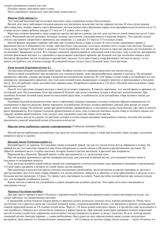 головы соединяется и ванна для глаз.
Подобно укропу действуют анис и тмин.
Часто смешивают семена всех трех растений, измельчая их.
Фиалка (Viola odorata L.)
Этот пахучий весенний цветок должен наполнять нашу домашнюю аптеку благоуханием.
Весной дети часто заболевают сильным кашлем или коклюшем, вследствие частых перемен погоды. В этом случае каждая
заботливая мать должна сварить горсть фиалковых листьев (можно взять фиалковые корни, если предварительно истолочь их) в 1/2
стакана воды и давать ребенку каждые 2-3 часа по 2-3 ложки этого отвара.
Взрослые должны принимать такое лекарство против застарелого кашля; для них доза состоит из одной чашки настоя по 3 раза
в день. Фиалковый настой оказывает большую помощь чахоточным, уменьшая кашель и выделяя мокроту. Этот настой следует
считать настоящим лекарством и принимать как лекарство, т.е. каждые 2-3 часа по 3-5 столовых ложек.
Настой фиалки оказывает хорошее действие при головных болях и жаре в голове. В этих случаях намачивают тряпку в
фиалковом настое и обвязывают ею голову; действие будет еще сильнее, если мыть заднюю часть головы этим настоем. Больные
очень скоро чувствуют облегчение и засыпают. Если употреблять этот настой при опухоли в горле как средство для полоскания, то
он оказывает прекрасные услуги. Кто страдает одышкой, происходящей от скопления газов в желудке, тому я советую предпринять
лечение фиалковым настоем, т.е. принимать в продолжение некоторого времени две большие или три маленькие чашки в день.
Растертые фиалковые листья охлаждают и размягчают опухоли. Если приготовить отвар фиалковых листьев на уксусе, то его
можно употреблять для лечения подагры. В домашней аптеке следует иметь большой запас этого растения.
Хвощ полевой (Equisetum arvense L.)
Это растение обладает целебными свойствами. Хозяйки считают его хорошим средством для чистки посуды.
Хвощ полевой употребляют при застарелых или гноящихся ранах, даже при ракообразных нарывах и костоеде. Он оказывает
прекрасное действие, смывая, растворяя и выжигая все испорченные вещества. Из этой травы готовят отвар и употребляют его для
компрессов, промываний и примочек. Для этой цели полевой хвощ заворачивают в мокрую тряпочку и прикладывают к больному
месту. Его употребляют также для известных паровых ванн. Подробности приведены в 3-й части. Полевой хвощ излечивает также
внутренние недуги.
Настой этого растения очищает желудок и никогда не может повредить. Я советую принимать этот настой время от времени, но
не каждый день. Он успокаивает боли при каменной болезни, при песке в мочевом пузыре и облегчает мочеиспускание. При
подобных болезнях полевой хвощ является наилучшим средством, в особенности, если употреблять отвар полевого хвоща для
паровых ванн.
Подобные болезни встречаются очень часто и причиняют сильные страдания, поэтому я советую обратить внимание на это
незаменимое и простое средство. Кроме наружного употребления, больные должны принимать каждый день внутрь по одной
чашке такого отвара. Он помогает также при кровотечениях, кровавой рвоте; в последнем случае очень быстро, уже через 4 минуты
рвота прекращается. Кто страдает сильным кровотечением из носа, тому я советую втягивать носом отвар из полевого хвоща; кто
страдает вообще кровотечением, тому следует пить ежедневно одну-две чашки этого настоя.
Нужно иметь всегда под рукою это растение, которое в случае нужды оказывает немедленную помощь, поэтому оно должно
находиться в каждой домашней аптеке в большом количестве.
Царская свеча, вербишник, коровяк скипетровидный (Verbascum Schraderi Meyer)
Настой цветов вербишника употребляют как средство для полоскания горла, а также при болезнях горла, катарах, скоплении
мокроты в груди и одышке.
Цикорий дикий (Cichorium intybus L.)
Цикорий растет по дорогам. Его называют также cолнцевой травой, так как его листья почти всегда обращены к солнцу. На
первый взгляд этот цветочек покажется вам очень невзрачным со своим хилым стебельком и растрепанными листьями. Но
обратите внимание на его голубые цветочки, которые немного светлее васильков, и растение вам понравится.
Наружный вид обманчив. Цикорий хранит в себе драгоценности, т.е. целительные соки.
Настой цикория принимается против засорения желудка, для удаления излишней желчи, для очищения печени, почек и
селезенки от нездоровых веществ.
Если желудок испорчен какой-нибудь пищей или пищеварение в плохом состоянии, надо принимать ежедневно в продолжение
3-4 дней перед завтраком и вечером по одной чашке настоя цикория.
При щемлении в желудке или других сильных воспалениях какой-нибудь части организма я советую припарки из листьев и
цветов цикория. Для этого надо сперва обварить эти листья кипятком, завернуть в тряпочку и тогда прикладывать к желудку или к
больным местам ежедневно 2-3 раза. Эту травку часто настаивают на спирте. Такая настойка употребляется при сильном упадке
сил, для натирания ослабевших членов.
Кроме листьев и цветов мы употребляем и корни цикория как целебное средство. Эти корни легче всего выкапывать в
дождливую погоду.
Черника (Vaccinium myrtillus)
Две-три горсти черники кладут в бутылку с хорошей водкой. Чем больше времени (даже годами) настаиваются ягоды, тем
лучше действует эта лекарственная настойка.
Страдающий легким поносом должен время от времени съедать несколько сушеных ягод, хорошо разжевав их. Очень часто
достаточно этого простого средства. Сильный затяжной понос, сопровождающийся болью, а по временам и кровью, успокаивается
ложкой черничной водки на 1/8 стакана теплой воды. Через 8—10 часов можно повторить прием, а в третий раз едва ли возникнет в
нем надобность. Найдите-ка в аптеке более невинное и верное средство. При опасной дизентерии (кровавом поносе) черничный
настой отлично содействует наружному водолечению (теплые компрессы на живот из воды с уксусом). Из всех тинктур нашей
домашней аптеки тинктура черники — самая необходимая. Она служит во всех перечисленных выше случаях желудочных
растройств. Доза зависит от степени болезни: наименьшая — 10-12 капель на кусочек сахару, более сильная — около 30 капель и в
 