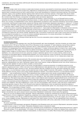 становилось, тем лучше чувствовал себя больной. Когда все болезненные вещества были выделены, священник выздоровел. Все ле-
чение продолжалось 2 недели.
Желтуха
Желчный пузырь лежит возле печени и служит вместилищем для желчи, выходящей из печеночных каналов. В существующих в
печени каналах или же в желчном пузыре могут образоваться затвердения желчи, называющиеся желчными камнями, которые
препятствуют излиянию желчи или еще в самой печени, или же при дальнейшем ее течении по желчному протоку. Но вследствие
давления, удара и тому подобных вредных причин может явиться опухоль желчного протока, и благодаря этому желчь может
лопасть в кровь. Тогда образуется желтуха. Она образуется также после тяжелых болезней, как-то: тиф, сильная лихорадка и т. п.
Но и печень может быть больна, и вследствие этого кровь может постепенно заразиться.
Если желтуха происходит от какого-нибудь расстройства или вообще от других болезней, то это по большей части не имеет
значения; но если желтуха обусловливается болезнью печени, то может наступить смерть. Первые признаки желтухи видны на
белке глаз, на коже, по испражнениям и моче; аппетит обыкновенно ухудшается и вкус несколько изменяется. Если печень здорова,
то излечение этой болезни не представляет трудностей. Внутрь можно посоветовать принимать ежедневно 2—3 раза по 3—4 ложки
настоя полыни. Шалфей с настоем полы ни оказывает также большие услуги. Улучшив пищеварение, можно принимать ежедневно
6—7 перечных зерен с пищей. В пище и питье нужно быть умеренным. Молоко как питательное средство — отлично.
Лучше всего делать следующие применения воды: еженедельно 2—3 раза короткое обертывание и обмывание ночью в постели,
а после него сейчас же снова в постель. Желтый цвет остается часто в продолжение долгого времени, но это не представляет
никакой опасности. Как из какой-нибудь материи трудно сразу вывести краску, то же самое и при желтухе. Если же желтизна все
усиливается и переходит уже в более темный, черноватый, цвет, если аппетит делается все хуже и хуже, если во всем теле какой-то
зуд и усиливается исхудание его, то тогда есть полное основание предполагать, что печень неизлечима и что образуется
затвердение печени, как рак печени и тому подсобная болезнь.
Замечательно действует на больную печень при желтухе, если пить ежедневно утром и вечером чашку молока с ложкой
угольного порошка с сахаром.
Суставной ревматизм
Однажды пришел ко мне мужчина; вид у него был болезненный, цвет лица нездоровый, с желтым оттенком, на голове очень
мало волос (почти 1/20 часть). Ему было около 40 лет. Рассказал он мне следующее: «У меня появились частые боли в животе,
сопровождавшиеся сильными коликами и поносами. После у меня появилась болезнь почек, как определили врачи. Когда
наступали эти невыразимые боли, меня буквально всего скручивало. С годами эта болезнь прошла, но вместо нее у меня теперь
суставной ревматизм. Мне кажется, что теперь все прежде испытанные страдания соединились вместе и мучат все мой члены. Я
принял немало лекарств, но облегчения от них не было никакого. Один Бог только знает, как я перестрадал. Должен еще
прибавить, что у меня сильно потели ноги; средства, которые я принимал против этого по совету многих, помогли мне. Я
пользовался по настоянию врача и минеральными ваннами, но от них моя болезнь только ухудшилась. Но мучительнее всех
страданий для меня было сознание, что мое состояние не считают вовсе таким уж плохим, что тут главную роль играет моя
чувствительность».
Тайну этого больного нетрудно разгадать. Все указания даны нам самим больным; нам же только остается сделать вывод.
Желтизна, частые приступы колик, прекратившееся потение ног — все это заставляет предположить какое-нибудь ядовитое
вещество, скрывающееся, как змея, в организме; прежде змея только шипела, теперь же бросается на все тело, на все члены его и
своими укусами заражает их ядом до самых суставов, до мозга костей.
Полное исцеление возможно только в том случае, если растворить и полностью выделить это ядовитое вещество и если
укрепить организм настолько, чтобы в нем уже не могли образовываться такие вредные соки. А где можно купить противоядие
такому яду? Иной бы дорого заплатил за него. За искусственные средства, особенно когда они еще новы и неизвестны, платят
очень дорого; а за естественные и самые лучшие средства едва ли даже говорят Создателю: «Deo qratios», «Спасибо, Господи!»
Чтобы выбелить полотно, вода и лучи солнца должны проникнуть насквозь. Тело нашего больного с его желтоватым кожным
покровом — тоже не выбеленное полотно. Одни применения воды должны ввести воду внутрь для растворения сырых, т.е.
ядовитых, веществ, другие должны образовать теплоту, которая, подобно солнцу, вытянет растворенное. Еще одно. И щелок
оказывает иногда хозяйке услугу при отбеливании полотна, ускоряя его. Мы тоже можем пользоваться щелоком как более сильным
растворителем. Мы варим в воде разные растения, травы и таким образом приготавливаем прекраснейший щелок для беления тела.
Но возвратимся к нашему больному. Он сначала должен был применить испанский плащ. За ним следовала паровал ванна для
головы с последующим сильным обмыванием, а затем ножная паровая ванна. Обе паровые ванны заменяли самый лучший щелок
(можете мне поверить). Чем мягче обращаться с телом, тем легче оно выдержит такое лечение и даже само будет содействовать
выделению вредных, веществ. После этого больной делал короткое обертывание и еще для укрепления организма верхнее и
нижнее обливание, пользуясь ежедневно попеременно одним из этих применений; кроме того, еще каждую ночь из постели полное
обмывание. Это он продолжал в течение 3 недель.
В 4-ю и 5-ю недели он принимал две полуванны, одну головную и одну ножную паровую ванну и испанский плащ; а на 6-й
неделе, наконец, две теплые ванны попеременно с холодными, одну полуванну и одно верхнее и нижнее обливание. На будущее
время я посоветовал ему делать каждую неделю два полных обмывания и ежемесячно теплую ванну без перемены.
Вода и на этот раз не обманула моих ожиданий. Тяжелое заболевание, которое без сомнения могло бы быть причиной ранней
смерти больного, исчезло совершенно. Бодрый вид, умеренные силы снова возвратились к нему. Голос звучал так же, как и прежде.
У одного человека, около 40 лет, в левой ноге были такие сильные ревматические боли, что он мог ходить, да и то не очень
долго, только опираясь на палку. Временами он чувствовал боль также в руках и плечах. Он уже перепробовал много средств, но
все безрезультатно. Наконец Стал лечиться водой. Через 6 дней почувствовал себя лучше, продолжал лечение водой и выздоровел
окончательно.
Он делал следующее:
в продолжение 6 дней ежедневно два верхних обливания и два обливания колен; раз в неделю обертывание; ежедневно два раза
хождение по воде до икр от 1 до 3 минут. Ежедневно обливание спины и хождение по траве;
после этих 6 дней обливания верхних частей тела и обливание колен попеременно с полуванной продолжительностью 1 минуту.
Молодой человек, 23 лет, рассказывает: «В течение 2 лет не проходило ни одного дня, чтобы я не ощущал боли; сначала боль
появилась в спине, где я чувствовал жжение и покалывание, то очень сильное, то слабое. Мало-помалу боль распространилась и
 