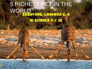 5 RICHEST PET IN THE
WORLD
Sebayang, Lovanda C. A
XI science 4 / 32
 