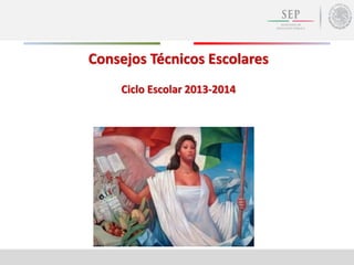 Consejos Técnicos Escolares
Ciclo Escolar 2013-2014
 