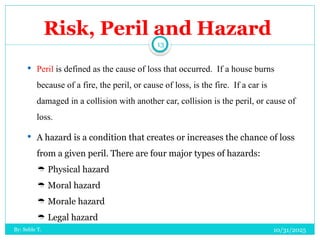 Peril Danger Example Risk management ensures safety and full success | PPTX