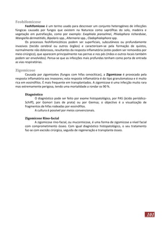 Feohifomicose
Feohifomicose é um termo usado para descrever um conjunto heterogéneo de infecções
fúngicas causado por fungos que existem na Natureza como saprófitas do solo, madeira e
vegetação em putrefacção, como por exemplo: Exophiala jeanselmei, Phialophora richardsiae,
Wangiella dermatitidis, Bipolaris spp., Alternaria spp., Cladophialophora spp.
Os processos feohifomicóticos podem ser superficiais, subcutâneos ou profundamente
invasivos (tecido cerebral ou outros órgãos) e caracterizam-se pela formação de quistos,
normalmente não dolorosos, resultantes da resposta inflamatória (estes podem ser removidos por
meio cirúrgico), que aparecem principalmente nas pernas e nos pés (mãos e outros locais também
podem ser envolvidos). Pensa-se que as infecções mais profundas tenham como porta de entrada
as vias respiratórias.

Zigomicose
Causada por zigomicetes (fungos com hifas cenocíticas), a Zigomicose é provocada pela
resposta inflamatória aos invasores; esta resposta inflamatória é do tipo granulomatosa e é muito
rica em eosinófilos. É mais frequente em transplantados. A zigomicose é uma infecção muito rara
mas extremamente perigosa, tendo uma mortalidade a rondar os 90 %.
Diagnóstico
O diagnóstico pode ser feito por exame histopatológico, por PAS (ácido periódicoSchiff), por Gomori (sais de prata) ou por Giemsa; o objectivo é a visualização de
fragmentos de hifas rodeadas por eosinófilos.
A cultura é possível por meios convencionais.
Zigomicose Rino-facial
A zigomicose rino-facial, ou mucormicose, é uma forma de zigomicose a nível facial
com comprometimento ósseo. Com igual diagnóstico histopatológico, o seu tratamento
faz-se com excisão cirúrgica, seguida de regeneração e transplante ósseo.

101

 
