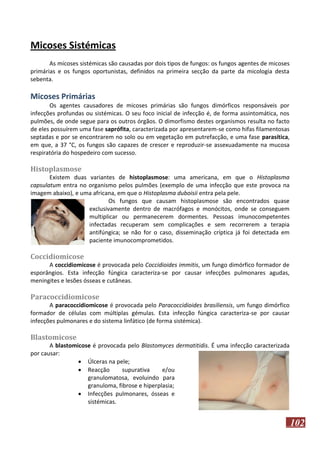 Micoses Sistémicas
As micoses sistémicas são causadas por dois tipos de fungos: os fungos agentes de micoses
primárias e os fungos oportunistas, definidos na primeira secção da parte da micologia desta
sebenta.

Micoses Primárias
Os agentes causadores de micoses primárias são fungos dimórficos responsáveis por
infecções profundas ou sistémicas. O seu foco inicial de infecção é, de forma assintomática, nos
pulmões, de onde segue para os outros órgãos. O dimorfismo destes organismos resulta no facto
de eles possuírem uma fase saprófita, caracterizada por apresentarem-se como hifas filamentosas
septadas e por se encontrarem no solo ou em vegetação em putrefacção, e uma fase parasítica,
em que, a 37 °C, os fungos são capazes de crescer e reproduzir-se assexuadamente na mucosa
respiratória do hospedeiro com sucesso.

Histoplasmose
Existem duas variantes de histoplasmose: uma americana, em que o Histoplasma
capsulatum entra no organismo pelos pulmões (exemplo de uma infecção que este provoca na
imagem abaixo), e uma africana, em que o Histoplasma duboisii entra pela pele.
Os fungos que causam histoplasmose são encontrados quase
exclusivamente dentro de macrófagos e monócitos, onde se conseguem
multiplicar ou permanecerem dormentes. Pessoas imunocompetentes
infectadas recuperam sem complicações e sem recorrerem a terapia
antifúngica; se não for o caso, disseminação críptica já foi detectada em
paciente imunocomprometidos.

Coccidiomicose
A coccidiomicose é provocada pelo Coccidioides immitis, um fungo dimórfico formador de
esporângios. Esta infecção fúngica caracteriza-se por causar infecções pulmonares agudas,
meningites e lesões ósseas e cutâneas.

Paracoccidiomicose
A paracoccidiomicose é provocada pelo Paracoccidioides brasiliensis, um fungo dimórfico
formador de células com múltiplas gémulas. Esta infecção fúngica caracteriza-se por causar
infecções pulmonares e do sistema linfático (de forma sistémica).

Blastomicose
A blastomicose é provocada pelo Blastomyces dermatitidis. É uma infecção caracterizada
por causar:
 Úlceras na pele;
 Reacção
supurativa
e/ou
granulomatosa, evoluindo para
granuloma, fibrose e hiperplasia;
 Infecções pulmonares, ósseas e
sistémicas.

102

 