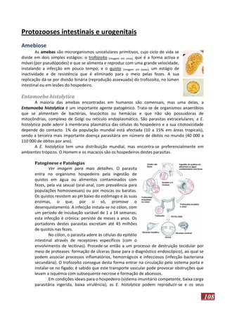Protozooses intestinais e urogenitais
Amebiose
As amebas são microrganismos unicelulares primitivos, cujo ciclo de vida se
divide em dois simples estágios: o trofozoíto [imagem em cima], que é a forma activa e
móvel (por pseudópodes) e que se alimenta e reproduz com uma grande velocidade,
instalando a infecção em pouco tempo; e o quisto [imagem em baixo], um estágio de
inactividade e de resistência que é eliminado para o meio pelas fezes. A sua
replicação dá-se por divisão binária (reprodução assexuada) do trofozoíto, no lúmen
intestinal ou em lesões do hospedeiro.

Entamoeba histolytica
A maioria das amebas encontradas em humanos são comensais, mas uma delas, a
Entamoeba histolytica é um importante agente patogénico. Trata-se de organismos anaeróbios
que se alimentam de bactérias, leucócitos ou hemácias e que não são possuidoras de
mitocôndrias, complexo de Golgi ou retículo endoplasmático. São parasitas extracelulares; a E.
histolytica pode aderir à membrana plasmática das células do hospedeiro e a sua citotoxicidade
depende do contacto. 1% da população mundial está afectada (10 a 15% em áreas tropicais),
sendo a terceira mais importante doença parasitária em número de óbitos no mundo (40 000 a
110 000 de óbitos por ano).
A E. histolytica tem uma distribuição mundial, mas encontra-se preferencialmente em
ambientes trópicos. O Homem e os macacos são os hospedeiros destes parasitas.
Patogénese e Patologias
Ver imagem para mais detalhes. O parasita
entra no organismo hospedeiro pela ingestão de
quistos em água ou alimentos contaminados com
fezes, pela via sexual (oral-anal, com prevalência para
populações homossexuais) ou por moscas ou baratas.
Os quistos resistem ao pH baixo do estômago e às suas
enzimas, o que, por si só, promove o
desenquistamento. A infecção instala-se no cólon, com
um período de incubação variável de 1 a 14 semanas;
esta infecção é crónica: persiste de meses a anos. Os
portadores destes parasitas excretam até 45 milhões
de quistos nas fezes.
No cólon, o parasita adere às células do epitélio
intestinal através de receptores específicos (com o
envolvimento de lecitinas). Procede-se então a um processo de destruição tecidular por
meio de proteases: formação de úlceras (base para o diagnóstico endoscópico), ao qual se
podem associar processos inflamatórios, hemorrágicos e infecciosos (infecção bacteriana
secundária). O trofozoíto consegue desta forma entrar na circulação pelo sistema porta e
instalar-se no fígado; é sabido que este transporte vascular pode provocar obstruções que
levam a isquémia com subsequente necrose e formação de abcessos.
Em condições ideais para o hospedeiro (sistema imunitário competente, baixa carga
parasitária ingerida, baixa virulência), as E. histolytica podem reproduzir-se e os seus

108

 