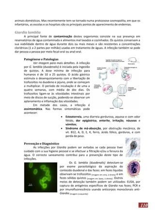 animais domésticos. Mas recentemente tem-se tornado numa protozoose cosmopolita, em que os
infantários, as escolas e os hospitais são os principais pontos de aparecimento de endemias.

Giardia lamblia
A principal fonte de contaminação destes organismos consiste na sua presença em
reservatórios de água contaminada e alimentos mal lavados e cozinhados. Os quistos conservam a
sua viabilidade dentro de água durante dois ou mais meses e são resistentes a concentrações
clorídricas (1 a 2 partes por milhão) usadas em tratamento de águas. A infecção também se pode
dar pessoa a pessoa por meio fecal-oral ou anal-oral.
Patogénese e Patologias
Ver imagem para mais detalhes. A infecção
por G. lamblia (duodenalis) é iniciada pela ingestão
de quistos. A dose mínima de infecção para
humanos é de 10 a 25 quistos. O ácido gástrico
estimula o desenquistamento com a libertação de
trofozoítos no duodeno e jejuno, onde se começam
a multiplicar. O período de incubação é de uma a
quatro semanas, com média de dez dias. Os
trofozoítos ligam-se às vilosidades intestinais por
meio de discos de sucção, podendo-se observar um
aplanamento e inflamação das vilosidades.
Em metade dos casos, a infecção é
assintomática. Nas formas sintomáticas pode
acontecer:
 Esteatorreia, uma diarreia gordurosa, aquosa e com odor
fétido, dor epigástrica, enterite, irritação, náuseas e
vómitos;
 Síndrome de má-absorção, por obstrução mecânica, de
vit. B12, A, D, E, K, ferro, ácido fólico, gorduras, e com
perda de peso.
Prevenção e Diagnóstico
As infecções por Giardia podem ser evitadas se cada pessoa tiver
cuidado com a sua higiene pessoal e se efectuar a filtração e/ou a fervura da
água. O correcto saneamento contribui para a prevenção deste tipo de
infecções.
Os G. lamblia (duodenalis) detectam-se
por exame parasitológico da aspiração do
conteúdo duodenal e das fezes: em fezes líquidas
observam-se trofozoítos [imagem em cima, à direita] e em
fezes sólidas quistos [imagem em baixo, à direita]. Outros
meios de detecção também podem ser utilizados: ELISA, por
captura de antigénios específicos de Giardia nas fezes; PCR e
por imunofluorescência usando anticorpos monoclonais antiGiardia [imagem à esquerda].

110

 