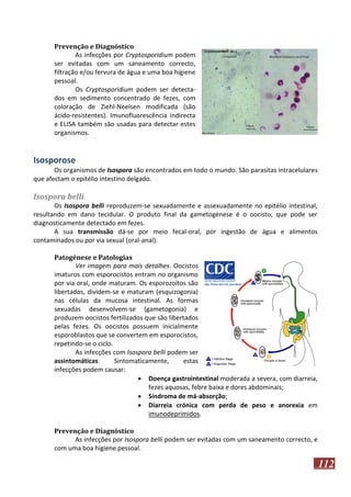 Prevenção e Diagnóstico
As infecções por Cryptosporidium podem
ser evitadas com um saneamento correcto,
filtração e/ou fervura de água e uma boa higiene
pessoal.
Os Cryptosporidium podem ser detectados em sedimento concentrado de fezes, com
coloração de Ziehl-Neelsen modificada (são
ácido-resistentes). Imunofluorescência indirecta
e ELISA também são usadas para detectar estes
organismos.

Isosporose
Os organismos de Isospora são encontrados em todo o mundo. São parasitas intracelulares
que afectam o epitélio intestino delgado.

Isospora belli
Os Isospora belli reproduzem-se sexuadamente e assexuadamente no epitélio intestinal,
resultando em dano tecidular. O produto final da gametogénese é o oocisto, que pode ser
diagnosticamente detectado em fezes.
A sua transmissão dá-se por meio fecal-oral, por ingestão de água e alimentos
contaminados ou por via sexual (oral-anal).
Patogénese e Patologias
Ver imagem para mais detalhes. Oocistos
imaturos com esporocistos entram no organismo
por via oral, onde maturam. Os esporozoítos são
libertados, dividem-se e maturam (esquizogonia)
nas células da mucosa intestinal. As formas
sexuadas desenvolvem-se (gametogonia) e
produzem oocistos fertilizados que são libertados
pelas fezes. Os oocistos possuem inicialmente
esporoblastos que se convertem em esporocistos,
repetindo-se o ciclo.
As infecções com Isospora belli podem ser
assintomáticas.
Sintomaticamente,
estas
infecções podem causar:
 Doença gastrointestinal moderada a severa, com diarreia,
fezes aquosas, febre baixa e dores abdominais;
 Síndroma de má-absorção;
 Diarreia crónica com perda de peso e anorexia em
imunodeprimidos.
Prevenção e Diagnóstico
As infecções por Isospora belli podem ser evitadas com um saneamento correcto, e
com uma boa higiene pessoal.

112

 
