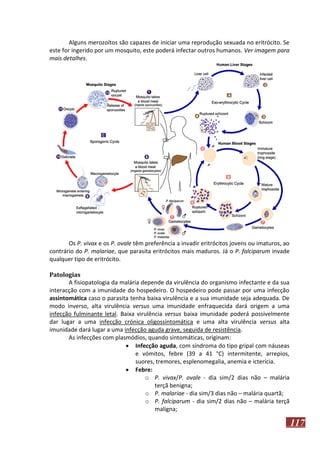 Alguns merozoítos são capazes de iniciar uma reprodução sexuada no eritrócito. Se
este for ingerido por um mosquito, este poderá infectar outros humanos. Ver imagem para
mais detalhes.

Os P. vivax e os P. ovale têm preferência a invadir eritrócitos jovens ou imaturos, ao
contrário do P. malariae, que parasita eritrócitos mais maduros. Já o P. falciparum invade
qualquer tipo de eritrócito.
Patologias
A fisiopatologia da malária depende da virulência do organismo infectante e da sua
interacção com a imunidade do hospedeiro. O hospedeiro pode passar por uma infecção
assintomática caso o parasita tenha baixa virulência e a sua imunidade seja adequada. De
modo inverso, alta virulência versus uma imunidade enfraquecida dará origem a uma
infecção fulminante letal. Baixa virulência versus baixa imunidade poderá possivelmente
dar lugar a uma infecção crónica oligossintomática e uma alta virulência versus alta
imunidade dará lugar a uma infecção aguda grave, seguida de resistência.
As infecções com plasmódios, quando sintomáticas, originam:
 Infecção aguda, com síndroma do tipo gripal com náuseas
e vómitos, febre (39 a 41 °C) intermitente, arrepios,
suores, tremores, esplenomegalia, anemia e icterícia.
 Febre:
o P. vivax/P. ovale - dia sim/2 dias não – malária
terçã benigna;
o P. malariae - dia sim/3 dias não – malária quartã;
o P. falciparum - dia sim/2 dias não – malária terçã
maligna;

117

 