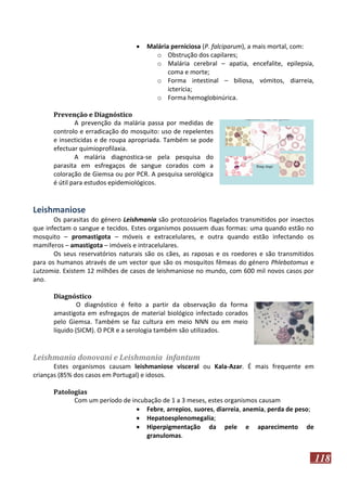

Malária perniciosa (P. falciparum), a mais mortal, com:
o Obstrução dos capilares;
o Malária cerebral – apatia, encefalite, epilepsia,
coma e morte;
o Forma intestinal – biliosa, vómitos, diarreia,
icterícia;
o Forma hemoglobinúrica.

Prevenção e Diagnóstico
A prevenção da malária passa por medidas de
controlo e erradicação do mosquito: uso de repelentes
e insecticidas e de roupa apropriada. Também se pode
efectuar quimioprofilaxia.
A malária diagnostica-se pela pesquisa do
parasita em esfregaços de sangue corados com a
coloração de Giemsa ou por PCR. A pesquisa serológica
é útil para estudos epidemiológicos.

Leishmaniose
Os parasitas do género Leishmania são protozoários flagelados transmitidos por insectos
que infectam o sangue e tecidos. Estes organismos possuem duas formas: uma quando estão no
mosquito – promastigota – móveis e extracelulares, e outra quando estão infectando os
mamíferos – amastigota – imóveis e intracelulares.
Os seus reservatórios naturais são os cães, as raposas e os roedores e são transmitidos
para os humanos através de um vector que são os mosquitos fêmeas do género Phlebotomus e
Lutzomia. Existem 12 milhões de casos de leishmaniose no mundo, com 600 mil novos casos por
ano.
Diagnóstico
O diagnóstico é feito a partir da observação da forma
amastigota em esfregaços de material biológico infectado corados
pelo Giemsa. Também se faz cultura em meio NNN ou em meio
líquido (SICM). O PCR e a serologia também são utilizados.

Leishmania donovani e Leishmania infantum
Estes organismos causam leishmaniose visceral ou Kala-Azar. É mais frequente em
crianças (85% dos casos em Portugal) e idosos.
Patologias
Com um período de incubação de 1 a 3 meses, estes organismos causam
 Febre, arrepios, suores, diarreia, anemia, perda de peso;
 Hepatoesplenomegalia;
 Hiperpigmentação da pele e aparecimento de
granulomas.

118

 