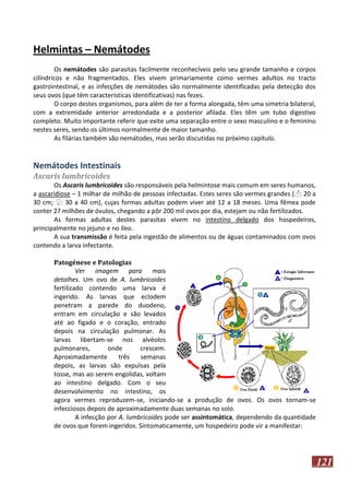 Helmintas – Nemátodes
Os nemátodes são parasitas facilmente reconhecíveis pelo seu grande tamanho e corpos
cilíndricos e não fragmentados. Eles vivem primariamente como vermes adultos no tracto
gastrointestinal, e as infecções de nemátodes são normalmente identificadas pela detecção dos
seus ovos (que têm características identificativas) nas fezes.
O corpo destes organismos, para além de ter a forma alongada, têm uma simetria bilateral,
com a extremidade anterior arredondada e a posterior afilada. Eles têm um tubo digestivo
completo. Muito importante referir que exite uma separação entre o sexo masculino e o feminino
nestes seres, sendo os últimos normalmente de maior tamanho.
As filárias também são nemátodes, mas serão discutidas no próximo capítulo.

Nemátodes Intestinais
Ascaris lumbricoides
Os Ascaris lumbricoides são responsáveis pela helmintose mais comum em seres humanos,
a ascaridiose – 1 milhar de milhão de pessoas infectadas. Estes seres são vermes grandes (♂: 20 a
30 cm; ♀: 30 a 40 cm), cujas formas adultas podem viver até 12 a 18 meses. Uma fêmea pode
conter 27 milhões de óvulos, chegando a pôr 200 mil ovos por dia, estejam ou não fertilizados.
As formas adultas destes parasitas vivem no intestino delgado dos hospedeiros,
principalmente no jejuno e no íleo.
A sua transmissão é feita pela ingestão de alimentos ou de águas contaminados com ovos
contendo a larva infectante.
Patogénese e Patologias
Ver imagem para mais
detalhes. Um ovo de A. lumbricoides
fertilizado contendo uma larva é
ingerido. As larvas que eclodem
penetram a parede do duodeno,
entram em circulação e são levados
até ao fígado e o coração, entrado
depois na circulação pulmonar. As
larvas libertam-se nos alvéolos
pulmonares,
onde
crescem.
Aproximadamente
três
semanas
depois, as larvas são expulsas pela
tosse, mas ao serem engolidas, voltam
ao intestino delgado. Com o seu
desenvolvimento no intestino, os
agora vermes reproduzem-se, iniciando-se a produção de ovos. Os ovos tornam-se
infecciosos depois de aproximadamente duas semanas no solo.
A infecção por A. lumbricoides pode ser assintomática, dependendo da quantidade
de ovos que forem ingeridos. Sintomaticamente, um hospedeiro pode vir a manifestar:

121

 