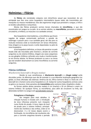 Helmintas – Filárias
As filárias são nemátodes vivíparos com dimorfismo sexual que necessitam de um
artrópode que lhes sirva como hospedeiro intermediário (quase todos são transmitidos por
mosquitos ou moscas mordedoras). Elas são organismos longos que parasitam o sangue, a linfa e
os tecidos subcutâneos e conjuntivos.
Muitas das filárias produzem vermes larvais chamados de microfilárias, e que são
encontrados em sangue ou na pele. Já os vermes adultos, ou macrofilárias, parasitam o sistema
circulatório, o linfático, os músculos e as cavidades serosas.
Nos hospedeiros intermediários, a microfilárias que foram
sugadas de sangue contaminado perfuram a parede do
estômago e passam para a sua cavidade geral; daí vão para os
múlculos torácicos onde se transformam em larvas infestantes.
Estas dirigem-se às peças bucais e serão depositadas na pele do
novo hospedeiro.
Já no hospedeiro definitivo, as larvas vão penetrar na pele
lesada (não são inoculadas pelo insecto) e, através da corrente
sanguínea ou do sistema linfático, chegam aos vasos sanguíneos
ou aos gânglios linfáticos sofrendo uma muda e transformandose em formas adultas. As fêmeas produzem os ovos e as larvas
que daí eclodem desenvolvem-se como microfilárias na corrente
sanguínea.

Filárias Linfáticas
Wuchereria bancrofti e Brugia malayi
Devido às suas semelhanças, o Wuchereria bancrofti e o Brugia malayi serão
discutidos juntos. As diferenças que são de assinalar é a sua diferente localização geográfica (no
global, as áreas afectadas são extensas: América do Sul, África Central e Ásia) e o facto de a W.
bancrofti ter o homem como único hospedeiro e a B. malayi ter outros hospedeiros animais como
os gatos e os macacos. Estes parasitas são transmitidos pelos vectores Culex, Anopheles e Aedes.
As formas adultas destes parasitas medem 4 cm (macho) e 10 cm (fêmea) e vivem no
sistema linfático. De qualquer forma, as microfilárias, para além de circularem na linfa, são
detectadas também no sangue com periodicidade nocturna.
Patogénese e Patologias
Ver imagem para mais detalhes. A
infecção humana é iniciada com a introdução
da larva infecciosa presente num mosquito
numa ferida de picada. A larva migra do local
da picada para o sistema linfático, principalmente dos membros e das virilhas, onde se irá
desenvolver. 3 a 12 meses depois ocorre a
fertilização. As microfilárias daí resultantes vão
para a corrente sanguínea durante o período

127

 