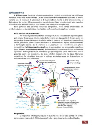 Schistosomose
A Schistosomose é uma parasitose major em áreas tropicais, com mais de 200 milhões de
indivíduos infectados mundialmente. Os três Schistosoma frequentemente associados a doença
humana são: S. mansoni, S. japonicum e S. haematobium. Como já dito anteriormente, os
Schistosoma são vermes diferem dos outros tremátodes por haver organismos do sexo masculino
e outros do sexo feminino (dióicos) e por os seus ovos não possuírem opérculos.
Estes parasitas são parasitas vasculares obrigatórios, nunca sendo encontrados em
cavidades, ductos ou outros tecidos; eles habitam preferencialmente os plexos venosos.
Ciclo de Vida dos Schistosoma
Ver imagem para mais detalhes. A infecção humana é iniciada com a penetração na
pele intacta de cercárias ciliadas, nadando livremente em água potável. Entram assim em
circulação e desenvolvem-se na circulação portal (S. mansoni e S. japonicum) ou nos plexos
vesical, prostático, rectal e uterino e nas veias (S. haematobium). Após o desenvolvimento,
a fertilização ocorre. Os S. mansoni e S japonicum são encontrados nos plexos
mesentéricos (schistosomose intestinal); os S. haematobium são encontrados nos plexos
junto à bexiga (schistosomose vesical). As larvas dentro dos ovos produzem enzimas que
ajudam na destruição tecidular, permitindo que passem para o lúmen intestinal ou vesical,
podendo assim ser excretados. Os ovos eclodem rapidamente na água, libertando
miracídeos. Os miracídeos infectam o molusco apropriado onde se desenvolvem em
milhares de cercárias infecciosas.

Diagnóstico
O diagnóstico é feito por pesquisa de ovos na urina e nas fezes (tendo em conta a
concentração na amostra). A biópsia vesical/rectal e a serologia também são utilizadas.

131

 