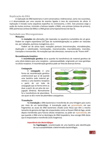 Replicação do DNA
A replicação do DNA bacteriano é semi-conservativa e bidireccional, como nos eucariotas,
e é desencadeada por uma cascata de eventos ligados à taxa de crescimento da célula. A
replicação é iniciada numa sequência específica no cromossoma, o OriC. Este processo exige a
acção de muitas enzimas, incluindo a helicase (expõe o DNA), uma primase (síntese de primers),
DNA polimerase (síntese de DNA) e a DNA girase (uma topoisomerase do tipo II).

Variedade nos Microrganismos
Mutações
As mutações são alterações não reparadas na sequência nucleotídica de um gene.
Podem ter origem espontânea (10-8/par de nucleótido/geração) ou podem ser induzidas
(ex. por radiações, químicos mutagénicos, etc.).
Podem ser de vários tipos: mutações pontuais (microinserções, microdelecções,
duplicação e substituição), translocações, macroinserções, macrodelecções, inversões,
transições e transversões. Há mutações que são silenciosas, nonsense ou de “frame-shift”.
Recombinação Genética
A recombinação genética dá-se quando há transferência de material genético de
uma célula dadora para uma receptora – parassexualidade, originando um novo genótipo
na célula receptora. A recombinação genética pode ser feita de diversas formas.
Conjugação
A conjugação é uma
forma de recombinação genética
unidireccional que se dá quando
uma bactéria cede material genómico a uma bactéria receptora
a partir de um tubo de
conjugação que se forma entre as
duas a partir de um pilus de conjugação (fímbria). Normalmente
há a transferência de plasmídeos
aos quais se dá o nome de plasmídeos conjugativos.
Transdução
Na transdução o DNA bacteriano é transferido de uma linhagem para outra
por meio de um bacteriófago. A transdução pode ser generalizada, em que
fragmentos ao acaso do DNA bacteriano clivado (ciclo lítico) que têm o mesmo
tamanho do genoma do fago são empacotados como se fossem DNA do fago, sendo
depois transferidos para futuras células receptoras; ou pode ser especializada, em
que quando o DNA viral se desintegra do DNA hospedeiro, leva consigo DNA deste
que é empacotado e transferido (ciclo lisogénico).
Importância dos Bacteriófagos
Na Fagotipagem: caracterização de uma bactéria pela identificação
da sua susceptibilidade a determinados bacteriófagos.

11

 