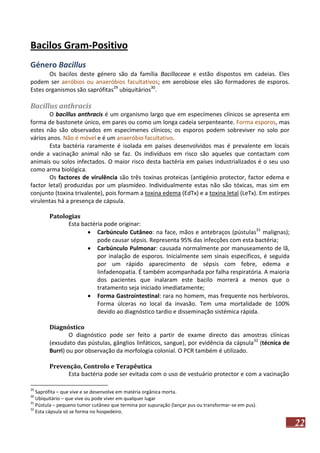 Bacilos Gram-Positivo
Género Bacillus
Os bacilos deste género são da família Bacillaceae e estão dispostos em cadeias. Eles
podem ser aeróbios ou anaeróbios facultativos; em aerobiose eles são formadores de esporos.
Estes organismos são saprófitas29 ubiquitários30.

Bacillus anthracis
O bacillus anthracis é um organismo largo que em especímenes clínicos se apresenta em
forma de bastonete único, em pares ou como um longa cadeia serpenteante. Forma esporos, mas
estes não são observados em especímenes clínicos; os esporos podem sobreviver no solo por
vários anos. Não é móvel e é um anaeróbio facultativo.
Esta bactéria raramente é isolada em países desenvolvidos mas é prevalente em locais
onde a vacinação animal não se faz. Os indivíduos em risco são aqueles que contactam com
animais ou solos infectados. O maior risco desta bactéria em países industrializados é o seu uso
como arma biológica.
Os factores de virulência são três toxinas proteicas (antigénio protector, factor edema e
factor letal) produzidas por um plasmídeo. Individualmente estas não são tóxicas, mas sim em
conjunto (toxina trivalente), pois formam a toxina edema (EdTx) e a toxina letal (LeTx). Em estirpes
virulentas há a presença de cápsula.
Patologias
Esta bactéria pode originar:
 Carbúnculo Cutâneo: na face, mãos e antebraços (pústulas31 malignas);
pode causar sépsis. Representa 95% das infecções com esta bactéria;
 Carbúnculo Pulmonar: causada normalmente por manuseamento de lã,
por inalação de esporos. Inicialmente sem sinais específicos, é seguida
por um rápido aparecimento de sépsis com febre, edema e
linfadenopatia. É também acompanhada por falha respiratória. A maioria
dos pacientes que inalaram este bacilo morrerá a menos que o
tratamento seja iniciado imediatamente;
 Forma Gastrointestinal: rara no homem, mas frequente nos herbívoros.
Forma úlceras no local da invasão. Tem uma mortalidade de 100%
devido ao diagnóstico tardio e disseminação sistémica rápida.
Diagnóstico
O diagnóstico pode ser feito a partir de exame directo das amostras clínicas
(exsudato das pústulas, gânglios linfáticos, sangue), por evidência da cápsula32 (técnica de
Burri) ou por observação da morfologia colonial. O PCR também é utilizado.
Prevenção, Controlo e Terapêutica
Esta bactéria pode ser evitada com o uso de vestuário protector e com a vacinação
29

Saprófita – que vive e se desenvolve em matéria orgânica morta.
Ubiquitário – que vive ou pode viver em qualquer lugar
31
Pústula – pequeno tumor cutâneo que termina por supuração (lançar pus ou transformar-se em pus).
32
Esta cápsula só se forma no hospedeiro.
30

22

 