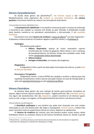 Género Corynebacterium
Os bacilos deste género são pleomórficos34, não formam cápsula e são imóveis.
Metabolicamente, estes organismos são aeróbios ou anaeróbios facultativos, são catalase
positivos e fermentam hidratos de carbono com formação de ácido láctico.

Corynebacterium diphtheriae
A Corynebacterium diphtheriae é uma bactéria comensal da pele e mucosas da orofaringe
e transmite-se por inalação ou contacto com feridas ou pele infectada. A distribuição mundial
desta bactéria mantém-se em portadores assintomáticos e não-vacinados. É um anaeróbio
facultativo.
Esta bactéria tem como factores de virulência a toxina da difteria35 com dois fragmentos –
A (bloqueia a síntese proteica) e B (medeia a ligação à superfície celular), e a fosfolipase D.
Patologias
Esta bactéria pode originar:
 Difteria Respiratória: doença do tracto respiratório superior
caracterizada por inchaço da garganta, febres baixas e com a presença
de pseudomembranas nas tônsilas, faringe e/ou cavidades nasais. Pode
causar complicações tóxicas disseminadas.
 Difteria Cutânea.
 Faringite e Endocardite: em estirpes não toxigénicas.
Diagnóstico
O diagnóstico é feito a partir da observação microscópica de culturas, ou pelo teste
de Elek por toxicidade.
Prevenção e Terapêutica
Antigamente comum, a vacina DTPHib tem ajudado a erradicar a doença (que está
espalhada mundialmente e onde a taxa de vacinação é baixa). Em caso de infecção pode-se
optar pela penicilina/eritromicina ou pela antitoxina da difteria.

Género Clostridium
As bactérias deste género são uma colecção de bacilos gram-positivos, formadores de
esporos. Alguns formam cápsula e podem ser móveis – flagelos perítricos. São anaeróbios estritos,
mas alguns são aerotolerantes. Eles são ubiquitários: podem encontrar-se em diversos lugares
como no solo, na água, nos esgotos, na flora gastrointestinal do homem e de diversos animais.

Clostridium perfringens
A Clostridium perfringens é uma bactéria que pode estar associada com uma simples
colonização ou com uma doença letal. São largos e rectangulares. Formam esporos, embora eles
sejam raramente vistos em especímenes clínicos em cultura. Replicam-se rapidamente.
Os factores de virulência são imensos, pois esta bactéria produz muitas toxinas, desde
fosfolipases (toxina α), proteases (toxina λ) até toxinas hemolíticas (toxina δ). Devido à grande
34
35

Pleomorfismo – ocorrência de duas ou mais formas estruturais durante um ciclo de vida de um organismo.
Esta toxina só é produzida se a bactéria for infectada por um fago.

25

 