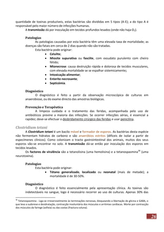 quantidade de toxinas produzíveis, estas bactérias são divididas em 5 tipos (A-E); a do tipo A é
responsável pelo maior número de infecções humanas.
A transmissão dá por inoculação em tecidos profundos lesados (onde não haja O2).
Patologias
As patologias causadas por esta bactéria têm uma elevada taxa de mortalidade; as
doenças são fatais em cerca de 2 dias quando não são tratadas.
Esta bactéria pode originar:
 Celulite;
 Miosite supurativa ou fasciite, com exsudato purulento com cheiro
fétido;
 Mionecrose: causa destruição rápida e dolorosa de tecidos musculares,
com elevada mortalidade se se espalhar sistemicamente;
 Intoxicação alimentar;
 Enterite necrosante;
 Septicémia.
Diagnóstico
O diagnóstico é feito a partir da observação microscópica de culturas em
anaerobiose, ou do exame directo das amostras biológicas.
Prevenção e Terapêutica
A limpeza cuidada e o tratamento das feridas, acompanhada pelo uso de
antibióticos previne a maioria das infecções. Se ocorrer infecções sérias, é essencial a
rapidez; deve-se efectuar o desbridamento cirúrgico das feridas e usar penicilina.

Clostridium tetani
A Clostridium tetani é um bacilo móvel e formador de esporos. As bactérias desta espécie
não fermentam hidratos de carbono e são anaeróbios estritos (difíceis de isolar a partir de
especímenes clínicos). Como colonizam o tracto gastrointestinal dos animais, muitos dos seus
esporos vão-se encontrar no solo. A transmissão dá-se então por inoculação dos esporos em
tecidos lesados.
Os factores de virulência são a tetanolisina (uma hemolisina) e a tetanospasmina36 (uma
neurotoxina).
Patologias
Esta bactéria pode originar:
 Tétano generalizado, localizado ou neonatal (mais de metade); a
mortalidade é de 30-50%.
Diagnóstico
O diagnóstico é feito essencialmente pela apresentação clínica. As toxinas são
indetectáveis no sangue, logo é necessário recorrer ao uso de culturas. Apenas 30% das
36

Tetanospasmina - Liga-se irreversivelmente às terminações nervosas, bloqueando a libertação de glicina e GABA, o
que leva a sudorese e desidratação, contracção involuntária dos músculos e arritmias cardíacas. Morte por contracção
dos músculos da faringe (asfixia) ou das costas (fractura coluna).

26

 