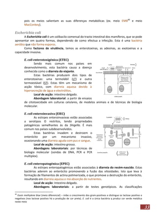 pois os meios salientam as suas diferenças metabólicas (ex. meio EMB40 e meio
MacConkey).

Escherichia coli
A Escherichia coli é um colibacilo comensal do tracto intestinal dos mamíferos, que se pode
apresentar em quatro formas, dependendo de como efectua a infecção. Esta é uma bactéria
aeróbia que não forma esporos.
Como factores de virulência, temos as enterotoxinas, as adesinas, as exotoxinas e a
capacidade invasiva.
E. coli enterotoxigénica (ETEC)
Sendo mais comum nos países em
desenvolvimento, esta bactéria causa a doença
conhecida como a diarreia do viajante.
Estas bactérias produzem dois tipos de
enterotoxinas: uma termolábil (LT) e outra
termoestável (ST). Estas têm um mecanismo de
acção tóxico, com diarreia aquosa devido à
hipersecreção de água e electrólitos.
Local de acção: intestino delgado.
Abordagem laboratorial: a partir de ensaios
de citotoxicidade em culturas celulares, de modelos animais e de técnicas de biologia
molecular.
E. coli enteroinvasiva (EIEC)
As estirpes enteroinvasivas estão associadas
a serotipos O restritos, tendo propriedades
patogénicas semelhantes às da Shigella. É mais
comum nos países subdesenvolvidos.
Estas bactérias invadem e destroem o
enterócito
por
um
mecanismo
invasivo,
ocasionando uma diarreia aguda com pus e sangue.
Local de acção: intestino grosso.
Abordagens laboratoriais: por técnicas de
biologia molecular (sondas de DNA, PCR e PCR
multiplex).
E. coli enteropatogénica (EPEC)
As estirpes enteropatogénicas estão associadas à diarreia do recém-nascido. Estas
bactérias aderem ao enterócito promovendo a fusão das vilosidades. Isto que leva à
formação de filamentos de actina polimerizada, o que promove a destruição do enterócito,
resultando em diarreia aquosa e má absorção de nutrientes.
Local de acção: Intestino delgado.
Abordagens laboratoriais: a partir de testes genotípicos. As classificações
40

Eosin methylene blue (meio diferencial) – inibe o crescimento dos gram-positivos e distingue os lactose positivo e
negativos (nos lactose positivo há a produção de cor preta). E. coli é a única bactéria q produz cor verde metálica
neste meio

33

 