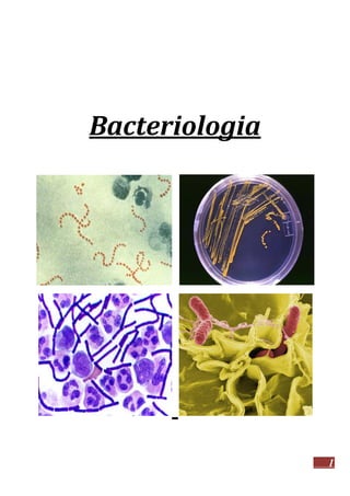 Bacteriologia

1

 