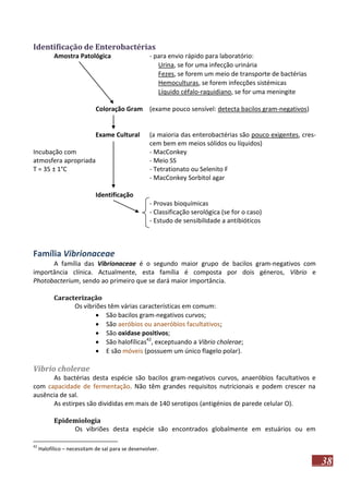 Identificação de Enterobactérias
Amostra Patológica

- para envio rápido para laboratório:
 Urina, se for uma infecção urinária
 Fezes, se forem um meio de transporte de bactérias
 Hemoculturas, se forem infecções sistémicas
 Líquido céfalo-raquidiano, se for uma meningite

Coloração Gram (exame pouco sensível: detecta bacilos gram-negativos)

Exame Cultural
Incubação com
atmosfera apropriada
T = 35 ± 1°C

(a maioria das enterobactérias são pouco exigentes, crescem bem em meios sólidos ou líquidos)
- MacConkey
- Meio SS
- Tetrationato ou Selenito F
- MacConkey Sorbitol agar

Identificação
- Provas bioquímicas
- Classificação serológica (se for o caso)
- Estudo de sensibilidade a antibióticos

Família Vibrionaceae
A família das Vibrionaceae é o segundo maior grupo de bacilos gram-negativos com
importância clínica. Actualmente, esta família é composta por dois géneros, Vibrio e
Photobacterium, sendo ao primeiro que se dará maior importância.
Caracterização
Os vibriões têm várias características em comum:
 São bacilos gram-negativos curvos;
 São aeróbios ou anaeróbios facultativos;
 São oxidase positivos;
 São halofílicas42, exceptuando a Vibrio cholerae;
 E são móveis (possuem um único flagelo polar).

Vibrio cholerae
As bactérias desta espécie são bacilos gram-negativos curvos, anaeróbios facultativos e
com capacidade de fermentação. Não têm grandes requisitos nutricionais e podem crescer na
ausência de sal.
As estirpes são divididas em mais de 140 serotipos (antigénios de parede celular O).
Epidemiologia
Os vibriões desta espécie são encontrados globalmente em estuários ou em
42

Halofílico – necessitam de sal para se desenvolver.

38

 