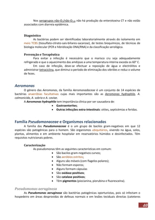 Nos serogrupos não-O1/não-O139 não há produção da enterotoxina CT e não estão
associados com diarreia epidémica.
Diagnóstico
As bactérias podem ser identificadas laboratorialmente através do isolamento em
meio TCBS (tiosulfato-citrato-sais-biliares-sacarose), de testes bioquímicos, de técnicas de
biologia molecular (PCR e hibridização DNA/RNA) e da classificação serológica.
Prevenção e Terapêutica
Para evitar a infecção é necessário que o marisco cru seja adequadamente
refrigerado e que o aquecimento das amêijoas a uma temperatura interna exceda os 60° C.
Em caso de infecção, deve-se efectuar a reposição de água e electrólitos e
administrar tetraciclina, que diminui o período de eliminação dos vibriões e reduz o volume
de fezes.

Aeromonas
O género das Aeromonas, da família Aeromonadaceae é um conjunto de 14 espécies de
bactérias anaeróbias facultativas cujas mais importantes são as Aeromonas hydrophila, A.
calmonicida, A. sobria e A. caviae.
A Aeromonas hydrophila tem importância clínica por ser causadora de:
 Gastroenterites;
 Outras infecções extra-intestinais: otites, septicémias e feridas.

Família Pseudomonaceae e Organismos relacionados
A família das Pseudomonaceae é o um grupo de bacilos gram-negativos em que 12
espécies são patogénicas para o homem. São organismos ubiquitários, vivendo na água, solos,
plantas, alimentos e em ambiente hospitalar em reservatórios húmidos e desinfectados. Têm
requisitos nutricionais pobres.
Caracterização
As pseudomonas têm as seguintes características em comum:
 São bacilos gram-negativos curvos;
 São aeróbios estritos;
 Alguns são móveis (com flagelos polares);
 Não formam esporos;
 Alguns formam cápsulas
 São oxidase positivos;
 São catalase positivos;
 Têm pigmentos (piocianina, piorubina e fluoresceína).

Pseudomonas aeruginosa
As Pseudomonas aeruginosa são bactérias patogénicas oportunistas, pois só infectam o
hospedeiro em áreas desprovidas de defesas normais e em lesões teciduais directas (cateteres

40

 