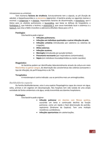 intravenosos ou urinários).
Tem inúmeros factores de virulência. Estruturalmente tem a cápsula, os pili (função de
adesão), o lipopolissacarídeo e a piocianina (pigmento). A bactéria produz as seguintes toxinas e
enzimas: a colagenase e a elastase, importantes factores de disseminação; a hemolisina, que é
tóxica para os alvéolos pulmonares; a leucocidina, que baixa as defesas do hospedeiro; a
fosfolipase C, que hidrolisa a lecitina; a exoenzima S, que causa toxicidade local e sistémica e a
toxina A, que cliva o NAD e transfere a adenosina difosfato ribose para o EF-2.
Patologias
Esta bactéria pode originar:
 Infecções pulmonares;
 Infecções em indivíduos queimados e outras infecções da pele;
 Infecções urinárias (introduzidas por cateteres ou sistemas de
irrigação);
 Otites externas;
 Infecções oculares;
 Meningite (introduzida por punção lombar);
 Pneumonia necrosante (por respiradores contaminados);
 Sépsis (em indivíduos imunodeprimidos ou recém-nascidos).
Diagnóstico
As bactérias podem ser identificadas laboratorialmente através da cultura em meio
MacConkey ou gelose sangue, da observação das características das colónias (consoante o
tipo de infecção), do perfil bioquímico e do TSA.
Terapêutica
A monoterapia é contra indicada: usa-se penicilina mais um aminoglicosídeo.

Burkholderia cepacia
Da família Burkholderiaceae, esta é uma espécie fitopatogénica capaz de crescer em água,
solos, animais e em vegetais em decomposição. Nos hospitais tem sido isolada de uma ampla
variedade de fontes ambientais e da água, sendo transmitida aos doentes hospitalares.
Patologias
Esta bactéria pode originar:
 Infecção pulmonar em doentes com fibrose quística,
causando um lento e continuado declínio da função
pulmonar, como um rápida e fatal deterioração do pulmão;
septicémia (Síndrome da Cepácia). Tem uma múltipla
resistência a antibióticos;
 Infecções oportunistas em cateterizações.

41

 