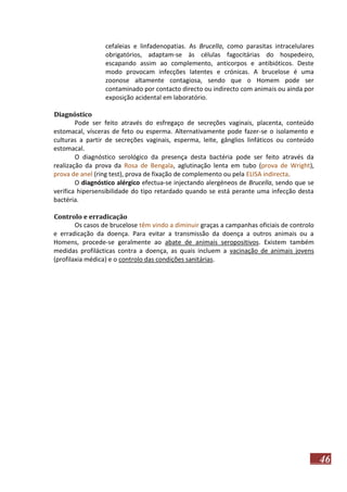 cefaleias e linfadenopatias. As Brucella, como parasitas intracelulares
obrigatórios, adaptam-se às células fagocitárias do hospedeiro,
escapando assim ao complemento, anticorpos e antibióticos. Deste
modo provocam infecções latentes e crónicas. A brucelose é uma
zoonose altamente contagiosa, sendo que o Homem pode ser
contaminado por contacto directo ou indirecto com animais ou ainda por
exposição acidental em laboratório.
Diagnóstico
Pode ser feito através do esfregaço de secreções vaginais, placenta, conteúdo
estomacal, vísceras de feto ou esperma. Alternativamente pode fazer-se o isolamento e
culturas a partir de secreções vaginais, esperma, leite, gânglios linfáticos ou conteúdo
estomacal.
O diagnóstico serológico da presença desta bactéria pode ser feito através da
realização da prova da Rosa de Bengala, aglutinação lenta em tubo (prova de Wright),
prova de anel (ring test), prova de fixação de complemento ou pela ELISA indirecta.
O diagnóstico alérgico efectua-se injectando alergéneos de Brucella, sendo que se
verifica hipersensibilidade do tipo retardado quando se está perante uma infecção desta
bactéria.
Controlo e erradicação
Os casos de brucelose têm vindo a diminuir graças a campanhas oficiais de controlo
e erradicação da doença. Para evitar a transmissão da doença a outros animais ou a
Homens, procede-se geralmente ao abate de animais seropositivos. Existem também
medidas profilácticas contra a doença, as quais incluem a vacinação de animais jovens
(profilaxia médica) e o controlo das condições sanitárias.

46

 