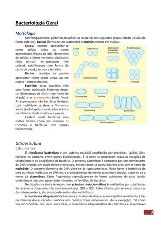 Bacteriologia Geral
Morfologia
Morfologicamente, podemos classificar as bactérias nos seguintes grupos: cocos (células de
forma esférica), bacilos (forma de um bastonete) e espirilos (forma em espiral).
Cocos: podem apresentar-se
como
célula
única
ou
como
aglomerados (figura ao lado) de número
de células e forma variáveis: diplococos
(dois juntos), estreptococos (em
cadeia), estafilococos (em forma de
cacho de uvas), sarcinas e tetradas.
Bacilos: também se podem
apresentar como célula única, ou em
cadeia – estreptobacilos.
Espirilos: estas bactérias têm
uma forma espiralada. Podemos destacar deste grupo os víbrios (em forma de
vírgula) e as espiroquetas (mais finas).
As espiroquetas são bactérias flexíveis,
cuja motilidade se deve a filamentos
axiais (endoflagelos) localizados entre a
membrana citoplasmática e a parede.
Existem ainda bactérias com
outras formas, como por exemplo os
tricomas e bactérias com formas
filamentosas.

Ultraestrutura
Citoplasma
O citoplasma bacteriano é um sistema coloidal constituído por proteínas, lípidos, iões,
hidratos de carbono, entre outras biomoléculas. É lá onde se processam todas as reacções de
catabolismo e de anabolismo da bactéria. O genoma bacteriano é composto por um cromossoma
de DNA circular, em dupla hélice e enrolado, encontrando-se numa discreta área com o nome de
nucleóide. O superenrolamento do DNA deve-se às topoisomerases. Pode haver a existência de
uma ou várias moléculas de DNA extra-cromossómico, de menor tamanho e circular, a que se dá o
nome de plasmídeos. Estes fragmentos reproduzem-se de forma autónoma do ciclo celular
bacteriano e possuem genes determinantes no fenótipo da bactéria.
No citoplasma ainda se encontram grânulos metacromáticos (constituídos por substâncias
de reserva) e ribossomas (de duas subunidades: 30S + 50S). Estes últimos, por serem promotores
da síntese proteica, são alvos preferenciais dos antibióticos.
A membrana citoplasmática tem uma estrutura de dupla camada lipídica semelhante à das
membranas dos eucariotas, embora sem colesterol (os micoplasmas são a excepção). Tal como
nas mitocôndrias dos seres eucariotas, a membrana citoplasmática das bactérias é responsável

2

 
