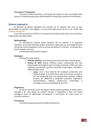 Prevenção e Tratamento
Tal como na febre recorrente, a eliminação dos vectores é útil na prevenção desta
doença. O tratamento passa pela administração de amoxiciclina, doxiciclina e ceftriaxone.

Género Leptospira
As bactérias do género Leptospira, que consiste em 17 espécies, têm uma ou duas
extremidades em gancho e dois flagelos, e as suas dimensões variam de 0,1 a 6,0 × 20μm. São
aeróbios obrigatórios.
A sua cultura é possível a 28-30 °C com suplementos (vitaminas B2 e B12, sais de amónio e
ácidos gordos de cadeia longa).
Epidemiologia
Os reservatórios naturais destas bactérias são os roedores e os pequenos
mamíferos. Os animais infectados podem contaminar a água pela sua urina podendo assim
contaminar outros hospedeiros como os animais domésticos e o Homem. A infecção dá-se
através da pele e mucosas.
A distribuição desta bactéria é global.
Patologias
Esta bactéria pode originar:
 Infecção subclínica, uma doença pouco severa de tipo síndrome gripal;
 Doença de Weil, doença sistémica severa, caracterizada por uma
disseminação hematogénea para os tecidos (incluindo o SNC) com lesão
endotelial, provocando vasculite, miocardite, hemorragias, meningite e
falência hepato-renal;
o clínica: uma a duas semanas de incubação provocando uma
síndrome gripal. A remissão dá-se após uma semana ou pode-se
dar uma progressão para uma segunda fase: cefaleias, mialgias,
arrepios, dor abdominal e congestão conjuntival; seguindo-se
trombocitopenia, falência hepato-renal, hemorragias e
meningite, com uma mortalidade de 10 a 15%.
Diagnóstico
A cultura é possível a partir de sangue e líquido cefalorraquidiano (7-10 dias após a
infecção) e de urina depois da primeira semana. O diagnóstico é feito com testes
serológicos (teste de aglutinação microscópica) e microscopia de fundo escuro ou
imunofluorescência.
Tratamento
O tratamento passa pela administração de doxiciclina.

50

 