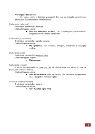 Prevenção e Tratamento
Há vacina contra a Rickettsia prowazekii. Em caso de infecção, administra-se
tetraciclinas, fluoroquinolonas ou cloranfenicol.

Rickettsia rickettsii
O veículo de transmissão é a carraça.
Esta bactéria pode originar:
 Febre das montanhas rochosas, com complicações gastrointestinais,
colapso respiratório e renal e encefalite.

Rickettsia prowazekii
O veículo de transmissão é o piolho humano.
Esta bactéria pode originar:
 Tifo epidémico, com anorexia, artralgias, miocardite e disfunção
cerebral.

Rickettsia typhi
O veículo de transmissão é a pulga do rato.
Esta bactéria pode originar:
 Tifo endémico.

Rickettsia conorii
O veículo de transmissão é a carraça do cão. Há a formação de uma pápula no local da
picada, com ulceração e escara.
Esta bactéria pode originar:
 Febre escaro-nodular (febre da carraça), com vascularite dos pequenos
vasos e colapso de múltiplos órgãos.

Orientia tsutsugamushi
O veículo de transmissão é o ácaro.
Esta bactéria pode originar:
 Febre fluvial do Japão (Tifo).

53

 