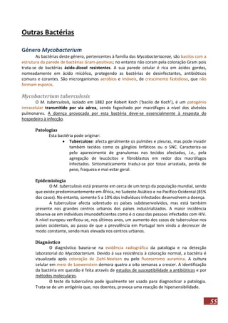 Outras Bactérias
Género Mycobacterium
As bactérias deste género, pertencentes à família das Mycobacteriaceae, são bacilos com a
estrutura da parede de bactérias Gram-positivas; no entanto não coram pela coloração Gram pois
trata-se de bactérias ácido-álcool resistentes. A sua parede celular é rica em ácidos gordos,
nomeadamente em ácido micólico, protegendo as bactérias de desinfectantes, antibióticos
comuns e corantes. São microrganismos aeróbios e imóveis, de crescimento fastidioso, que não
formam esporos.

Mycobacterium tuberculosis
O M. tuberculosis, isolado em 1882 por Robert Koch (‘bacilo de Koch’), é um patogénio
intracelular transmitido por via aérea, sendo fagocitado por macrófagos a nível dos alvéolos
pulmonares. A doença provocada por esta bactéria deve-se essencialmente à resposta do
hospedeiro à infecção.
Patologias
Esta bactéria pode originar:
 Tuberculose: afecta geralmente os pulmões e pleuras, mas pode invadir
também tecidos como os gânglios linfáticos ou o SNC. Caracteriza-se
pelo aparecimento de granulomas nos tecidos afectados, i.e., pela
agregação de leucócitos e fibroblastos em redor dos macrófagos
infectados. Sintomaticamente traduz-se por tosse arrastada, perda de
peso, fraqueza e mal-estar geral.
Epidemiologia
O M. tuberculosis está presente em cerca de um terço da população mundial, sendo
que existe predominantemente em África, no Sudeste Asiático e no Pacífico Ocidental (85%
dos casos). No entanto, somente 5 a 10% dos indivíduos infectados desenvolvem a doença.
A tuberculose afecta sobretudo os países subdesenvolvidos, mas está também
presente nos grandes centros urbanos dos países industrializados. A maior incidência
observa-se em indivíduos imunodeficientes como é o caso das pessoas infectados com HIV.
A nível europeu verificou-se, nos últimos anos, um aumento dos casos de tuberculose nos
países ocidentais, ao passo de que a prevalência em Portugal tem vindo a decrescer de
modo constante, sendo mais elevada nos centros urbanos.
Diagnóstico
O diagnóstico baseia-se na evidência radiográfica da patologia e na detecção
laboratorial do Mycobacterium. Devido à sua resistência à coloração normal, a bactéria é
visualizada após coloração de Ziehl-Neelsen ou pelo fluorocromo auramina. A cultura
celular em meio de Loewenstein demora quatro a oito semanas a crescer. A identificação
da bactéria em questão é feita através de estudos de susceptibilidade a antibióticos e por
métodos moleculares.
O teste da tuberculina pode igualmente ser usado para diagnosticar a patologia.
Trata-se de um antigénio que, nos doentes, provoca uma reacção de hipersensibilidade.

55

 
