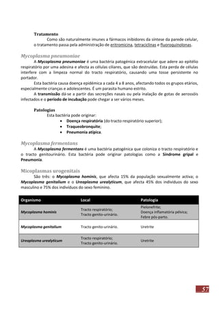 Tratamento
Como são naturalmente imunes a fármacos inibidores da síntese da parede celular,
o tratamento passa pela administração de eritromicina, tetraciclinas e fluoroquinolonas.

Mycoplasma pneumoniae
A Mycoplasma pneumoniae é uma bactéria patogénica extracelular que adere ao epitélio
respiratório por uma adesina e afecta as células ciliares, que são destruídas. Esta perda de células
interfere com a limpeza normal do tracto respiratório, causando uma tosse persistente no
portador.
Esta bactéria causa doença epidémica a cada 4 a 8 anos, afectando todos os grupos etários,
especialmente crianças e adolescentes. É um parasita humano estrito.
A transmissão dá-se a partir das secreções nasais ou pela inalação de gotas de aerossóis
infectados e o período de incubação pode chegar a ser vários meses.
Patologias
Esta bactéria pode originar:
 Doença respiratória (do tracto respiratório superior);
 Traqueobronquite;
 Pneumonia atípica.

Mycoplasma fermentans
A Mycoplasma fermentans é uma bactéria patogénica que coloniza o tracto respiratório e
o tracto genitourinário. Esta bactéria pode originar patologias como a Síndrome gripal e
Pneumonia.

Micoplasmas urogenitais
São três: o Mycoplasma hominis, que afecta 15% da população sexualmente activa; o
Mycoplasma genitalium e o Ureaplasma urealyticum, que afecta 45% dos indivíduos do sexo
masculino e 75% dos indivíduos do sexo feminino.
Organismo

Local

Patologia

Mycoplasma hominis

Tracto respiratório;
Tracto genito-urinário.

Pielonefrite;
Doença inflamatória pélvica;
Febre pós-parto.

Mycoplasma genitalium

Tracto genito-urinário.

Uretrite

Ureaplasma urealyticum

Tracto respiratório;
Tracto genito-urinário.

Uretrite

57

 