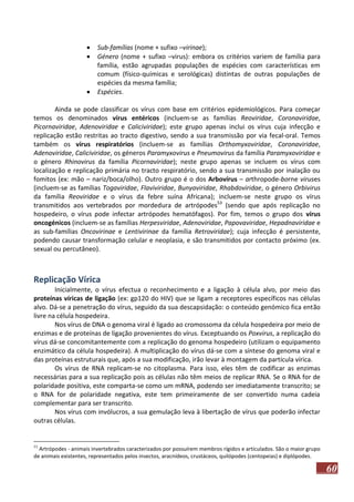 




Sub-famílias (nome + sufixo –virinae);
Género (nome + sufixo –virus): embora os critérios variem de família para
família, estão agrupadas populações de espécies com características em
comum (físico-químicas e serológicas) distintas de outras populações de
espécies da mesma família;
Espécies.

Ainda se pode classificar os vírus com base em critérios epidemiológicos. Para começar
temos os denominados vírus entéricos (incluem-se as famílias Reoviridae, Coronaviridae,
Picornaviridae, Adenoviridae e Caliciviridae); este grupo apenas inclui os vírus cuja infecção e
replicação estão restritas ao tracto digestivo, sendo a sua transmissão por via fecal-oral. Temos
também os vírus respiratórios (incluem-se as famílias Orthomyxoviridae, Coronaviridae,
Adenoviridae, Caliciviridae, os géneros Paramyxovirus e Pneumovirus da família Paramyxoviridae e
o género Rhinovirus da família Picornaviridae); neste grupo apenas se incluem os vírus com
localização e replicação primária no tracto respiratório, sendo a sua transmissão por inalação ou
fomitos (ex: mão – nariz/boca/olho). Outro grupo é o dos Arbovírus – arthropode-borne viruses
(incluem-se as famílias Togaviridae, Flaviviridae, Bunyaviridae, Rhabdoviridae, o género Orbivirus
da família Reoviridae e o vírus da febre suína Africana); incluem-se neste grupo os vírus
transmitidos aos vertebrados por mordedura de artrópodes53 (sendo que após replicação no
hospedeiro, o vírus pode infectar artrópodes hematófagos). Por fim, temos o grupo dos vírus
oncogénicos (incluem-se as famílias Herpesviridae, Adenoviridae, Papovaviridae, Hepadnaviridae e
as sub-famílias Oncovirinae e Lentivirinae da família Retroviridae); cuja infecção é persistente,
podendo causar transformação celular e neoplasia, e são transmitidos por contacto próximo (ex.
sexual ou percutâneo).

Replicação Vírica
Inicialmente, o vírus efectua o reconhecimento e a ligação à célula alvo, por meio das
proteínas víricas de ligação (ex: gp120 do HIV) que se ligam a receptores específicos nas células
alvo. Dá-se a penetração do vírus, seguido da sua descapsidação: o conteúdo genómico fica então
livre na célula hospedeira.
Nos vírus de DNA o genoma viral é ligado ao cromossoma da célula hospedeira por meio de
enzimas e de proteínas de ligação provenientes do vírus. Exceptuando os Poxvirus, a replicação do
vírus dá-se concomitantemente com a replicação do genoma hospedeiro (utilizam o equipamento
enzimático da célula hospedeira). A multiplicação do vírus dá-se com a síntese do genoma viral e
das proteínas estruturais que, após a sua modificação, irão levar à montagem da partícula vírica.
Os vírus de RNA replicam-se no citoplasma. Para isso, eles têm de codificar as enzimas
necessárias para a sua replicação pois as células não têm meios de replicar RNA. Se o RNA for de
polaridade positiva, este comparta-se como um mRNA, podendo ser imediatamente transcrito; se
o RNA for de polaridade negativa, este tem primeiramente de ser convertido numa cadeia
complementar para ser transcrito.
Nos vírus com invólucros, a sua gemulação leva à libertação de vírus que poderão infectar
outras células.

53

Artrópodes - animais invertebrados caracterizados por possuírem membros rígidos e articulados. São o maior grupo
de animais existentes, representados pelos insectos, aracnídeos, crustáceos, quilópodes (centopeias) e diplópodes.

60

 
