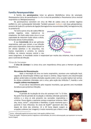 Família Paramyxoviridae
A família dos paramyxovírus inclui os géneros Morbillivirus (vírus do sarampo),
Paramyxovirus (vírus da parainfluenza 1 a 4 e o vírus da parotidite) e Pneumovirus (vírus sincicial
respiratório e o Metapneumovirus).
Os paramyxovírus consistem em vírus de RNA de cadeia única de sentido negativo
(ssRNA [-]), com nucleocápside helicoidal. Também possuem invólucro com duas glicoproteínas:
proteína de fusão (F) e proteína de ligação (hemaglutinina-neuraminidase [HN], hemaglutinina [H],
ou proteína G).
Tal como outros vírus de cadeia RNA de
sentido negativo, estes replicam-se no
citoplasma. Um facto sobre estes vírus é a sua
capacidade de induzirem fusão célula a célula,
formando células multinucleadas.
A sua transmissão dá-se por gotículas
respiratórias, pelo que iniciam a sua infecção
pelo tracto respiratório. Estes vírus replicam-se
em células epiteliais e da conjuntiva, nos
tractos respiratório e urinário, no sistema
linfático, no sistema nervoso central e nos
vasos sanguíneos. A imunidade celular é responsável por muitos dos sintomas, mas é essencial
para o controlo da infecção.

Vírus do Sarampo
O vírus do sarampo é o único vírus com importância clínica para o Homem do género
Morbillivirus.
Mecanismo de Disseminação
Após a inoculação do vírus no tracto respiratório, acontece uma replicação local,
seguida de disseminação linfática que levará à virémia. Daqui haverá uma disseminação
global, sendo todos os tecidos afectados aqueles onde o vírus se pode replicar (ver acima).
As células endoteliais infectadas com o vírus, pela acção dos linfócitos T, levarão a uma
erupção cutânea maculopapular.
A cura dá-se naturalmente pela resposta imunitária, que garante uma imunidade
duradoura para próximas infecções.
Patogenicidade
O período de incubação do vírus do sarampo é de 7 a 13 dias.
Na parte final do período de incubação o indivíduo afectado apresenta
virémia e o vírus já está presente nas secreções respiratórias e
urinárias. Pouco depois, o paciente começa a expressar sintomas: febre
alta, tosse, coriza61, conjuntivite e fotofobia; é neste momento que o
paciente é mais infeccioso. Os sinais de Koplik62 aparecem dois dias
depois do início dos sintomas. 12 a 24 horas depois surgem as
erupções cutâneas (ver imagem); é neste momento que a febre é mais
61

Coriza - inflamação aguda da mucosa nasal, rinite aguda e defluxo nasal.
Sinais de Koplik – Pequenos pontos irregulares e avermelhados, de centro esbranquiçado, que aparecem na mucosa
bucal e lingual.
62

74

 