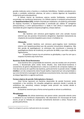 grandes moléculas como a lisozima e a moléculas hidrofóbicas. Também providencia protecção a condições ambientais adversas, tal como o sistema digestivo do hospedeiro
(importante para enterobactérias).
O folheto interior da membrana externa contém fosfolípidos, normalmente
encontrados nas membranas bacterianas. Já o folheto exterior é composto primariamente
por lipopolissacarídeos (LPS), também chamado por endotoxina, um poderoso estimulador
da resposta imunitária. O lipopolissacarídeo é constituído por cadeias O2 (antigénios
polissacarídicos), o cerne (polissacarídico) e o lípido A. Este último é responsável pela
toxicidade dos gram-negativos (resposta pirogénica, choque séptico).
Rickettsias
São bactérias com estrutura gram-negativa (com uma camada mucosa
exterior) que são parasitas intracelulares obrigatórias: dependem inteiramente do
citoplasma do eucariota hospedeiro para crescer e multiplicar-se.
Chlamydia
São também bactérias com estrutura gram-negativa (com membrana
externa com lipopolissacarídeo) que são parasitas intracelulares obrigatórias. Não
têm parede de peptidoglicano: os anticorpos não reconhecem a presença de
peptidoglicano (factor de virulência), em particular do NAM, o que inibe a acção do
fagolisossoma.
A superfície é pouco rica em proteínas ou glicolípidos, o que faz com que a
resposta imunitária seja muito fraca.
Bactérias Ácido-Álcool Resistentes
Estas bactérias têm a propriedade de resistirem, uma vez coradas com um primeiro
corante, à descoloração pelos ácidos fortes diluídos. Esta ácido-álcool-resistência é
característica do género Mycobacterium e deve-se à existência de compostos lipídicos ao
nível das estruturas de superfície das bactérias, particularmente na parede celular. O ácido
micólico é um dos componentes desta fracção lipídica responsável por esta propriedade e
que serve de barreira à passagem de substâncias (crescimento lento, mas maior resistência
ao ataque fagocitário e a agentes químicos).
Formas atípicas de parede: Esferoplastos e formas L
Estas formas aparecem em bactérias desprovidas de parede funcional, sendo
susceptíveis a lise osmótica. Em situações patogénicas aparecem devido à pressão de
antibióticos (ex. penicilina), embora consigam ainda persistir nos tecidos devido à
protecção osmótica.
As bactérias revertem para a forma normal quando se retiram os antibióticos.
Micoplasmas
Micoplasmas são células bacterianas sem parece celular, possuindo esteróis como
o colesterol na sua membrana citoplasmática. São observáveis em microscopia de fundo
escuro, já que os métodos de coloração normalmente destroem a célula. Possuem um
grande polimorfismo.

2

Cadeia O ou Antigénio O, permite a tipificação dentro de uma espécie.

5

 