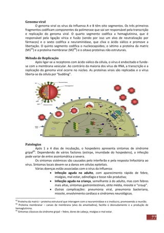 Genoma viral
O genoma viral os vírus da Influenza A e B têm oito segmentos. Os três primeiros
fragmentos codificam componentes da polimerase que vai ser responsável pela transcrição
e replicação do genoma viral. O quarto segmento codifica a hemaglutinina, que é
responsável pela ligação vírica e fusão (sendo por isso um alvo de neutralização por
fármacos) e o sexto codifica a neuraminidase, que cliva o ácido siálico e promove a
libertação. O quinto segmento codifica o nucleocapsídeo, o sétimo a proteína da matriz
(M163) e a proteína membranar (M264) e o oitavo proteínas não estruturais.
Método de Replicação
Após ligar-se a receptores com ácido siálico da célula, o vírus é endocitado e fundese com a membrana vesicular. Ao contrário da maioria dos vírus de RNA, a transcrição e a
replicação do genoma viral ocorre no núcleo. As proteínas virais são replicadas e o vírus
liberta-se da célula por “budding”.

Patologias
Após 1 a 4 dias de incubação, o hospedeiro apresenta sintomas de síndrome
65
gripal . Dependendo de vários factores (estirpe, imunidade do hospedeiro), a infecção
pode variar de entre assintomática a severa.
Os sintomas sistémicos são causados pelo interferão e pela resposta linfocitária ao
vírus. Sintomas locais devem-se a danos em células epiteliais.
Várias doenças estão associadas com o vírus da Influenza:
 Infecção aguda no adulto, com aparecimento rápido de febre,
mialgias, mal-estar, odinofagia e tosse não produtiva;
 Infecção aguda na criança, semelhante à do adulto, mas com febres
mais altas, sintomas gastrointestinais, otite média, miosite e “croup”.
 Outras complicações: pneumonia viral, pneumonia bacteriana,
miosite, envolvimento cardíaco e síndromes neurológicas.
63

Proteína da matriz – proteína estrutural que interagem com a neuraminidase e o invólucro, promovendo a reunião.
Proteína membranar – canais de membrana (alvo da amantadina), facilita o desnudamento e a produção de
hemaglutinina.
65
Sintomas clássicos da síndrome gripal – febre, dores de cabeça, mialgias e mal-estar.
64

77

 